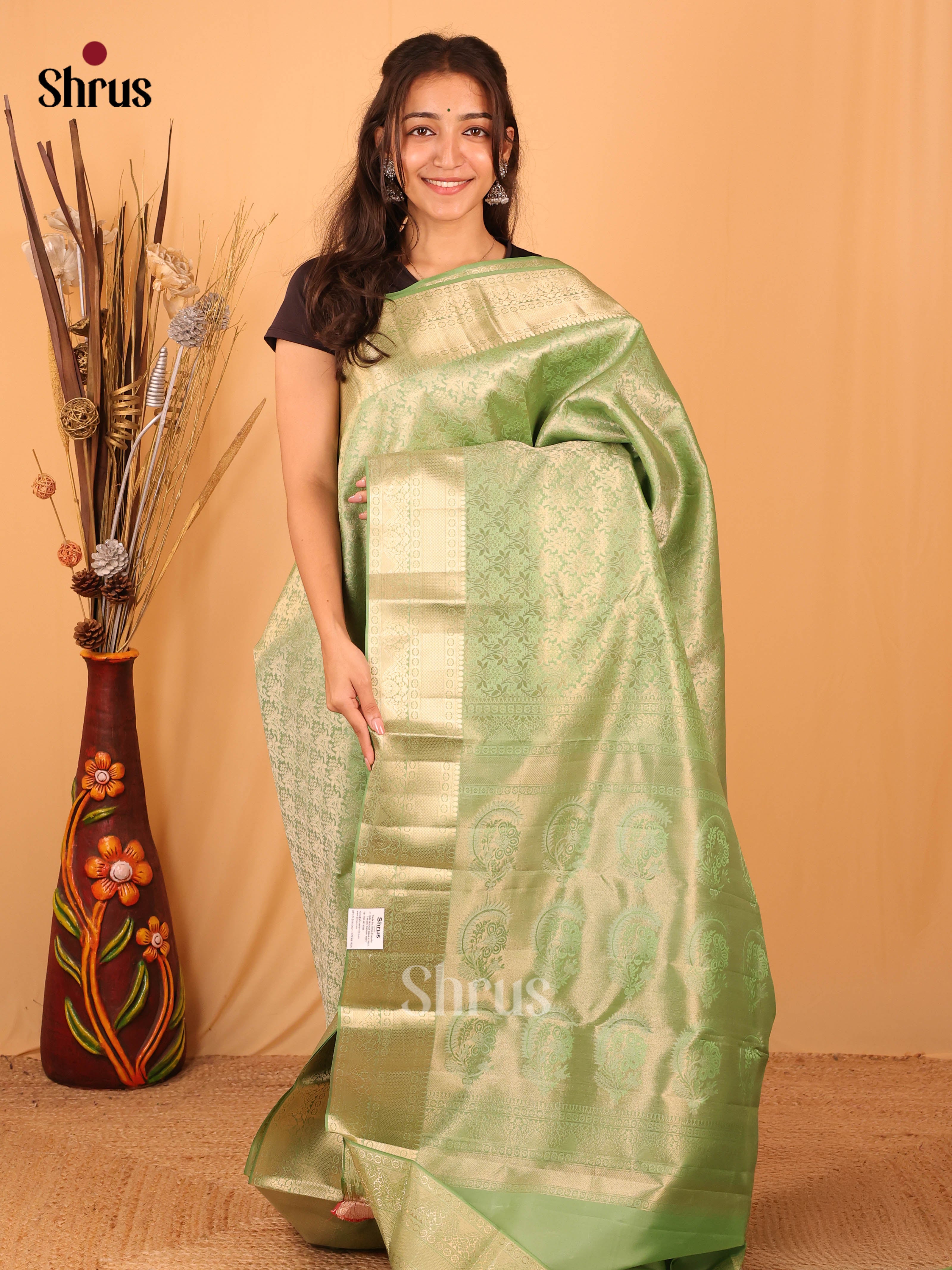 Pista Green(Single Tone) - Kanchipuram silk Saree - Shop on Shrus.com