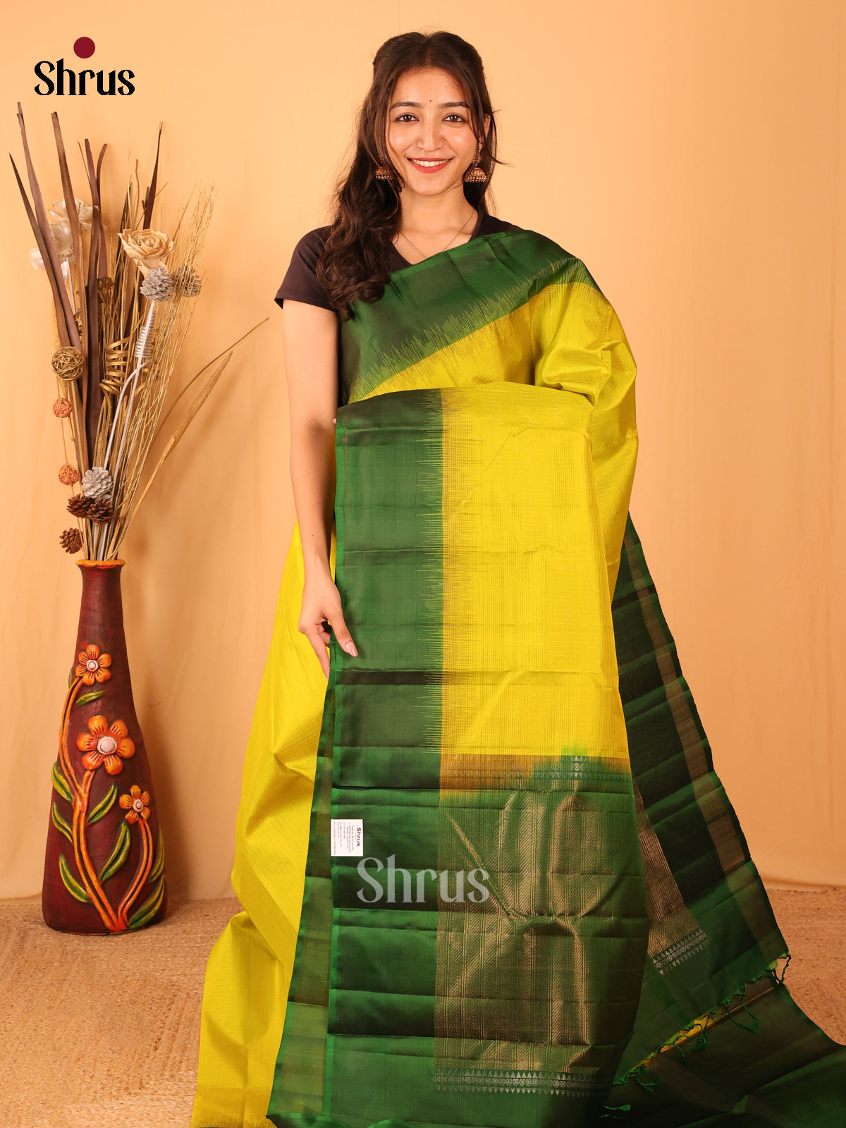 DBS06072 - Kanchipuram silk Saree - Shop on Shrus.com