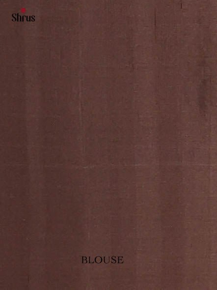 Beautiful Grey Soft Silk Saree with Floral Zari Brocade and Contrast Brown Brocade Pallu-2