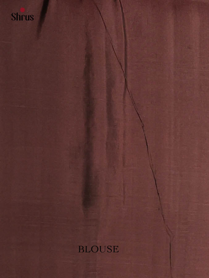 Pastel Green & Brown - Soft Silk Saree - Shop on Shrus.com