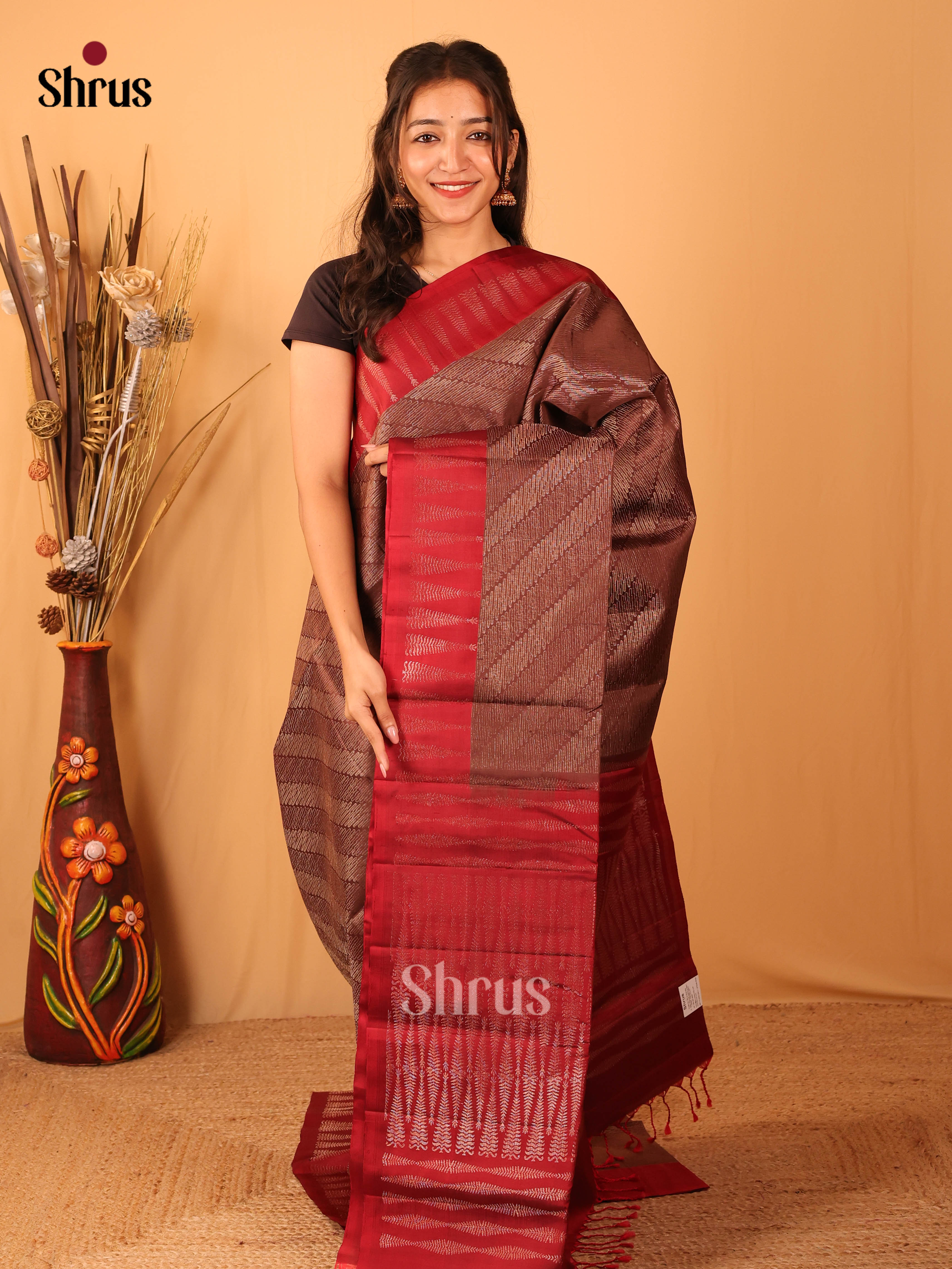 Opulent Brown Soft Silk Saree With Gold Zari Brocade Body, Red Border & Pallu-1