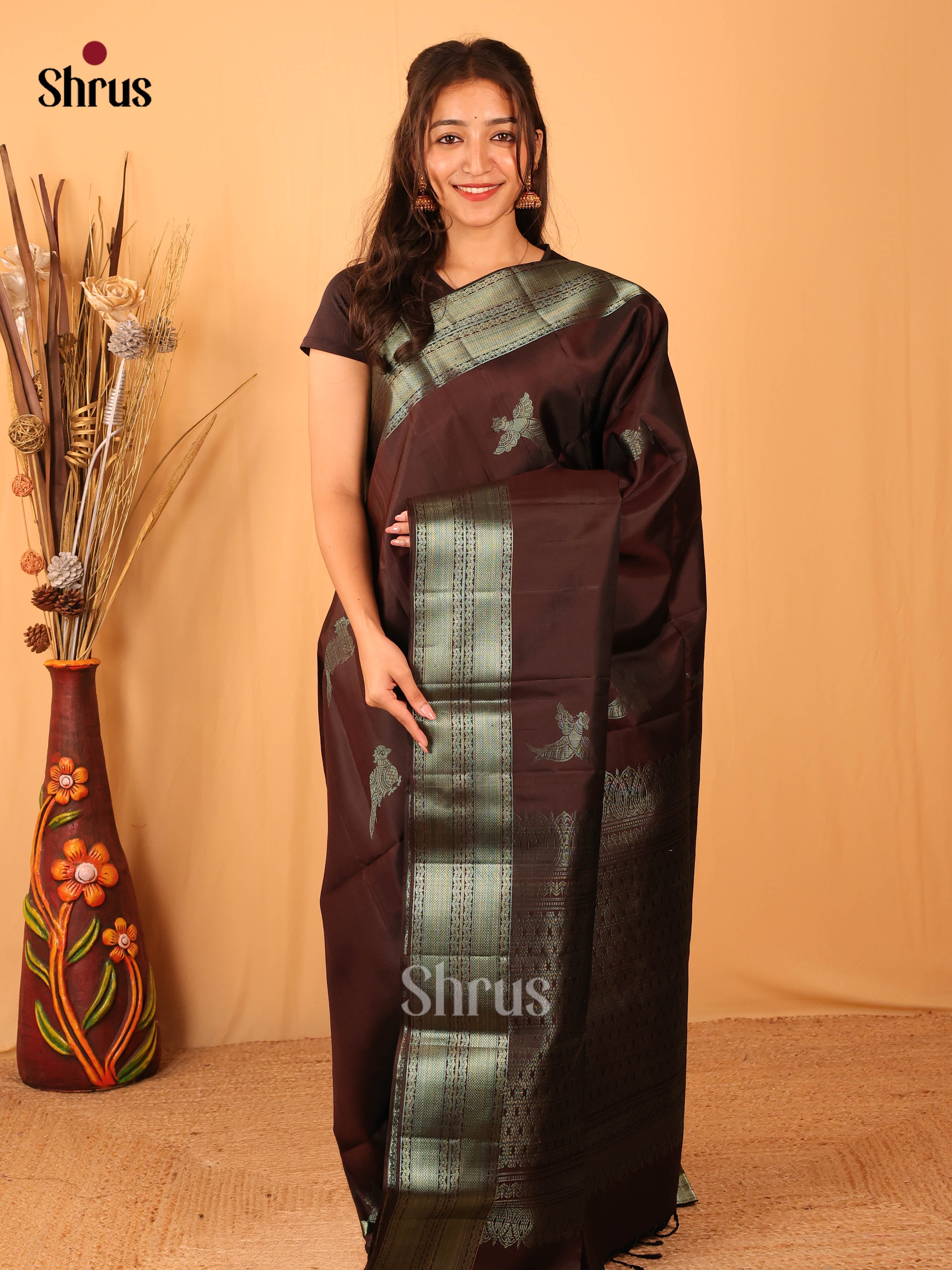 Classic Brown Soft Silk Saree with Mythical Bird Motifs & Rich Brocade Zari Pallu-1