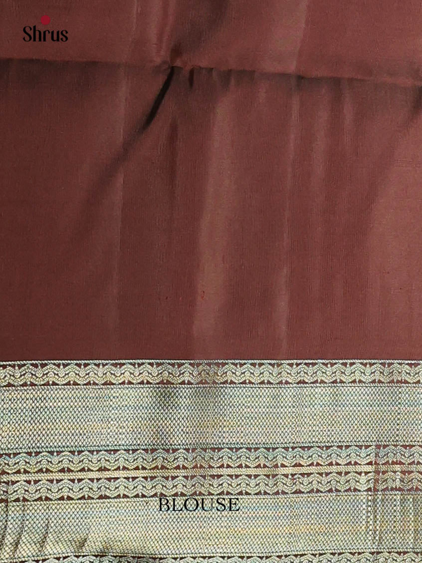 Classic Brown Soft Silk Saree with Mythical Bird Motifs & Rich Brocade Zari Pallu-2