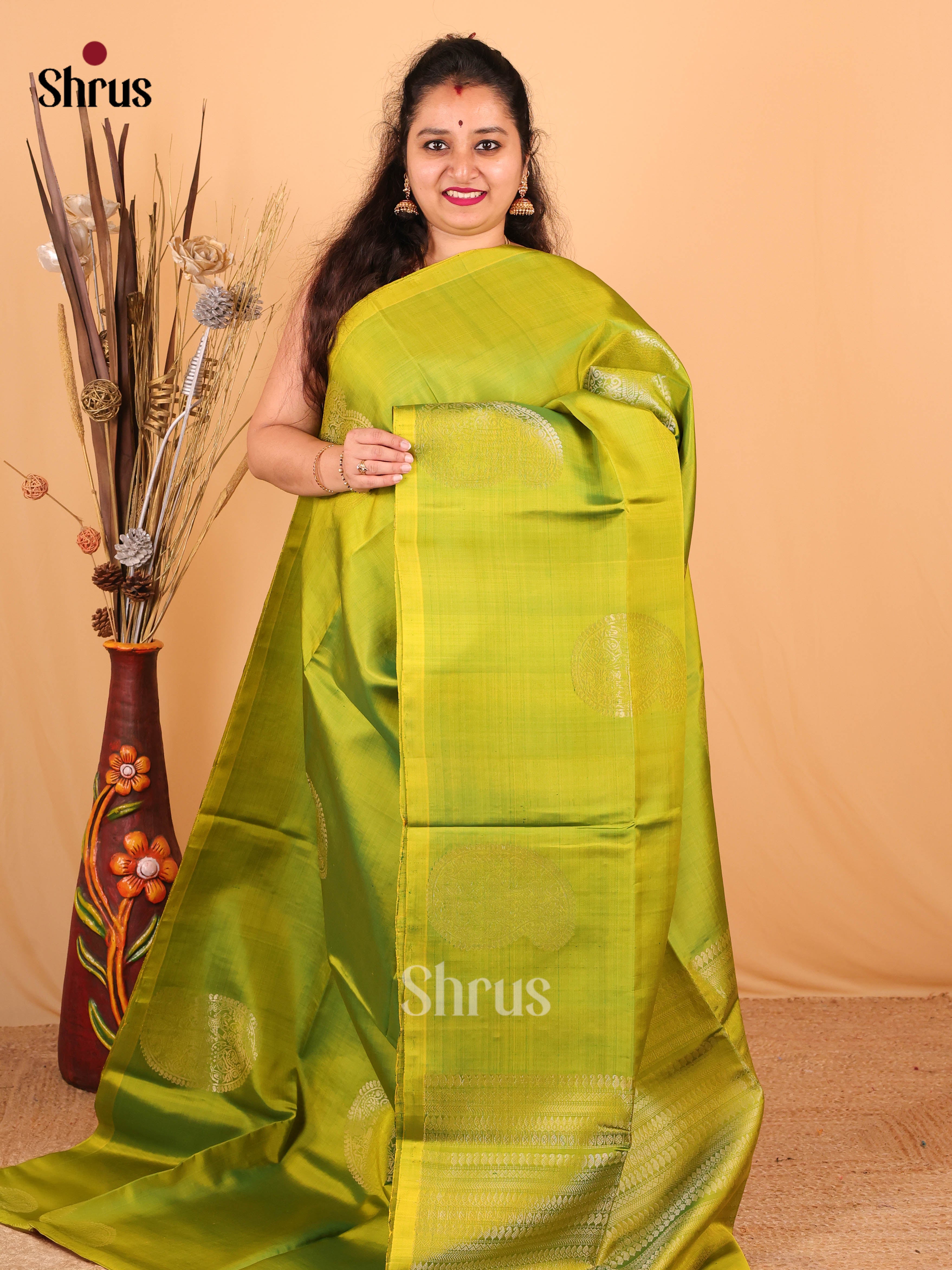 Lite Green(Single Tone) - Soft Silk Saree - Shop on Shrus.com