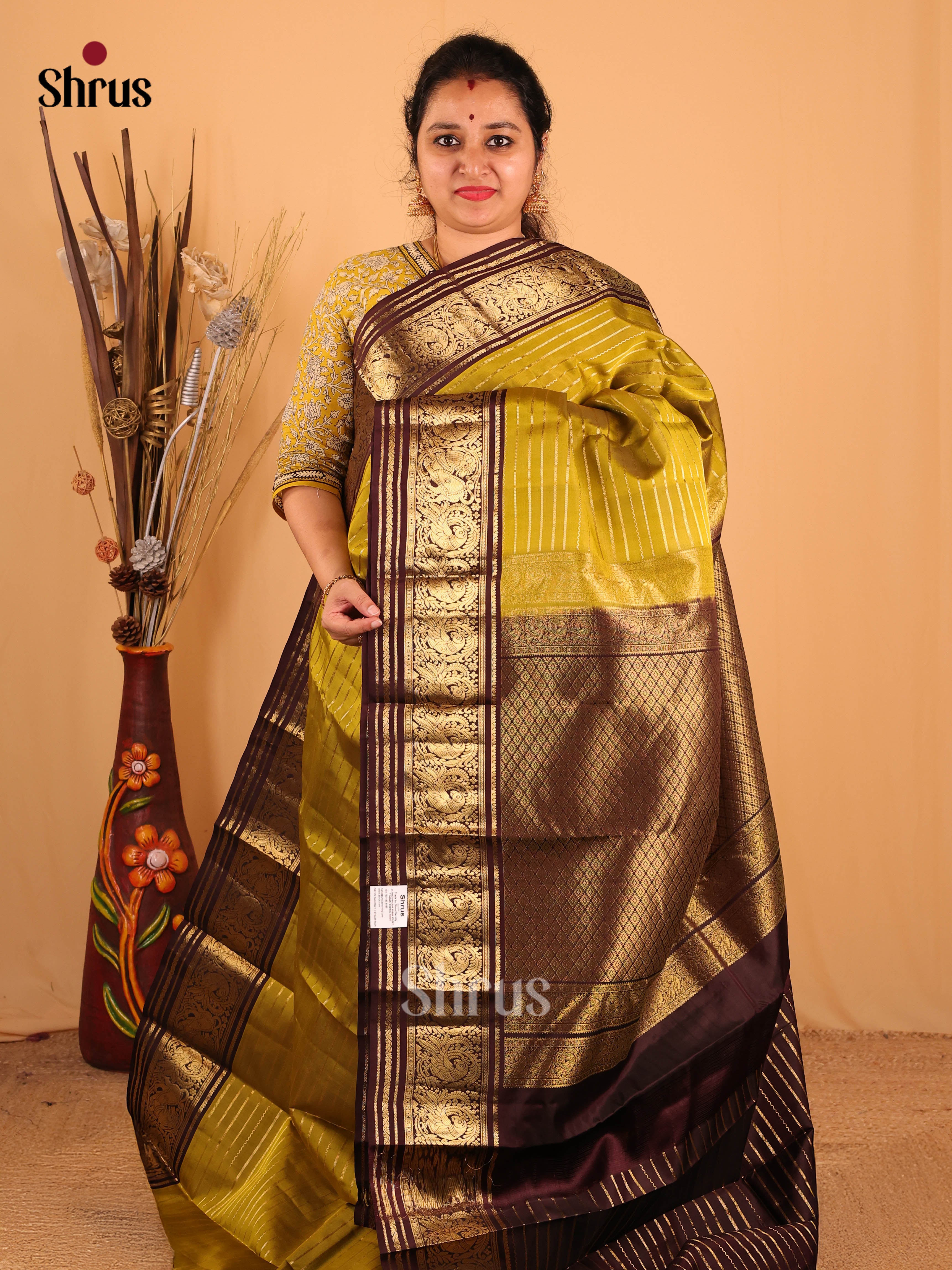 Saree 28 DBS07217 - Kanchipuram silk Saree - Shop on Shrus.com