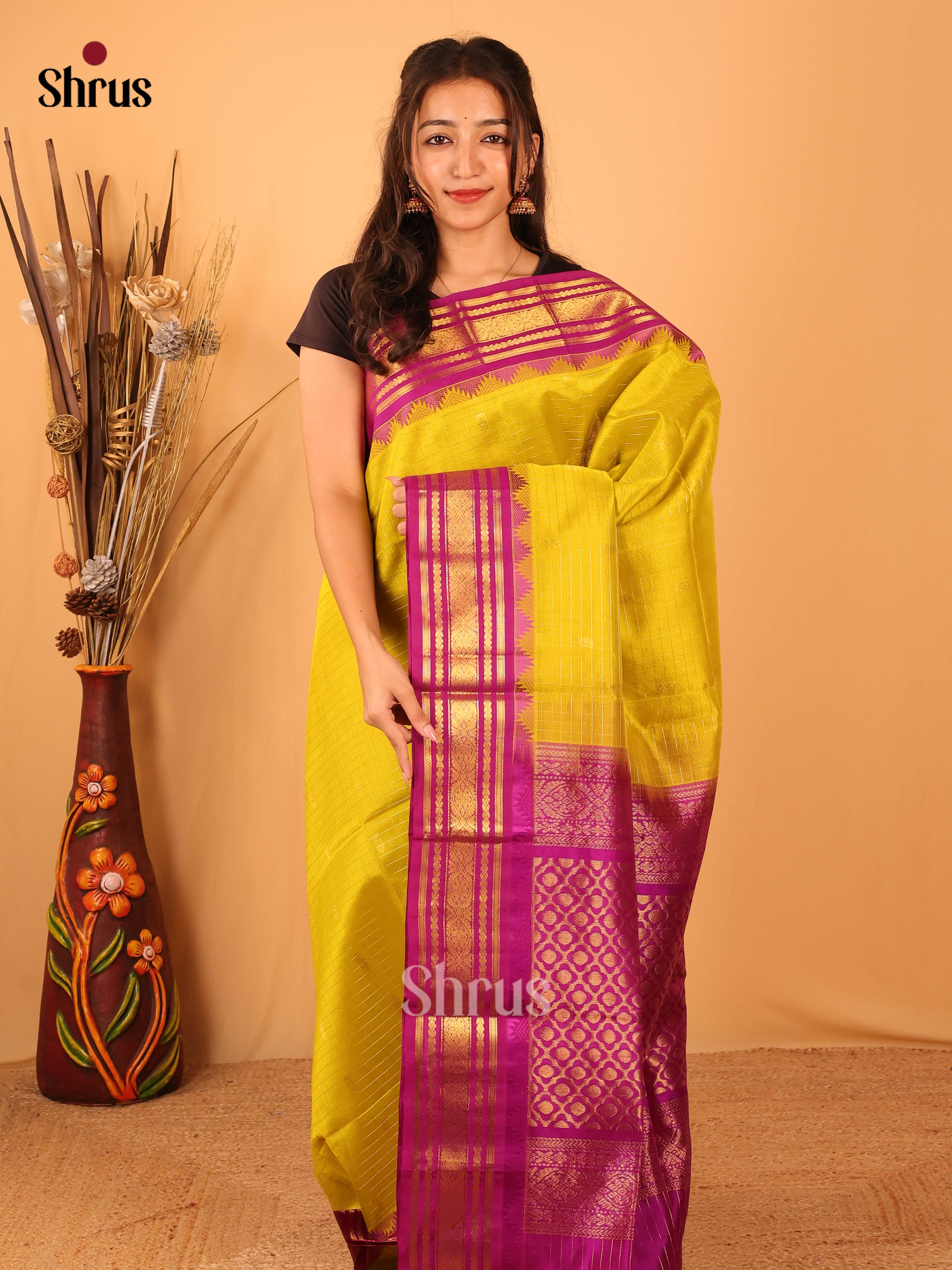 Mustardy Green & Majenta - Silk Cotton Saree - Shop on Shrus.com
