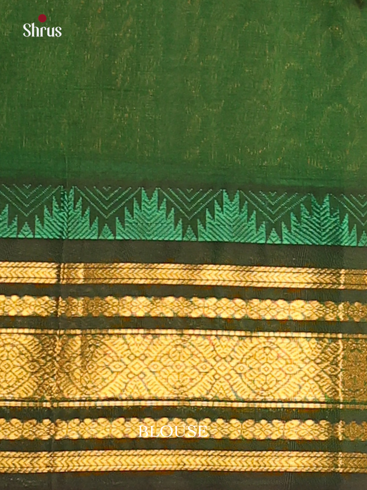 DBS10021 - Silk Cotton Saree - Shop on Shrus.com