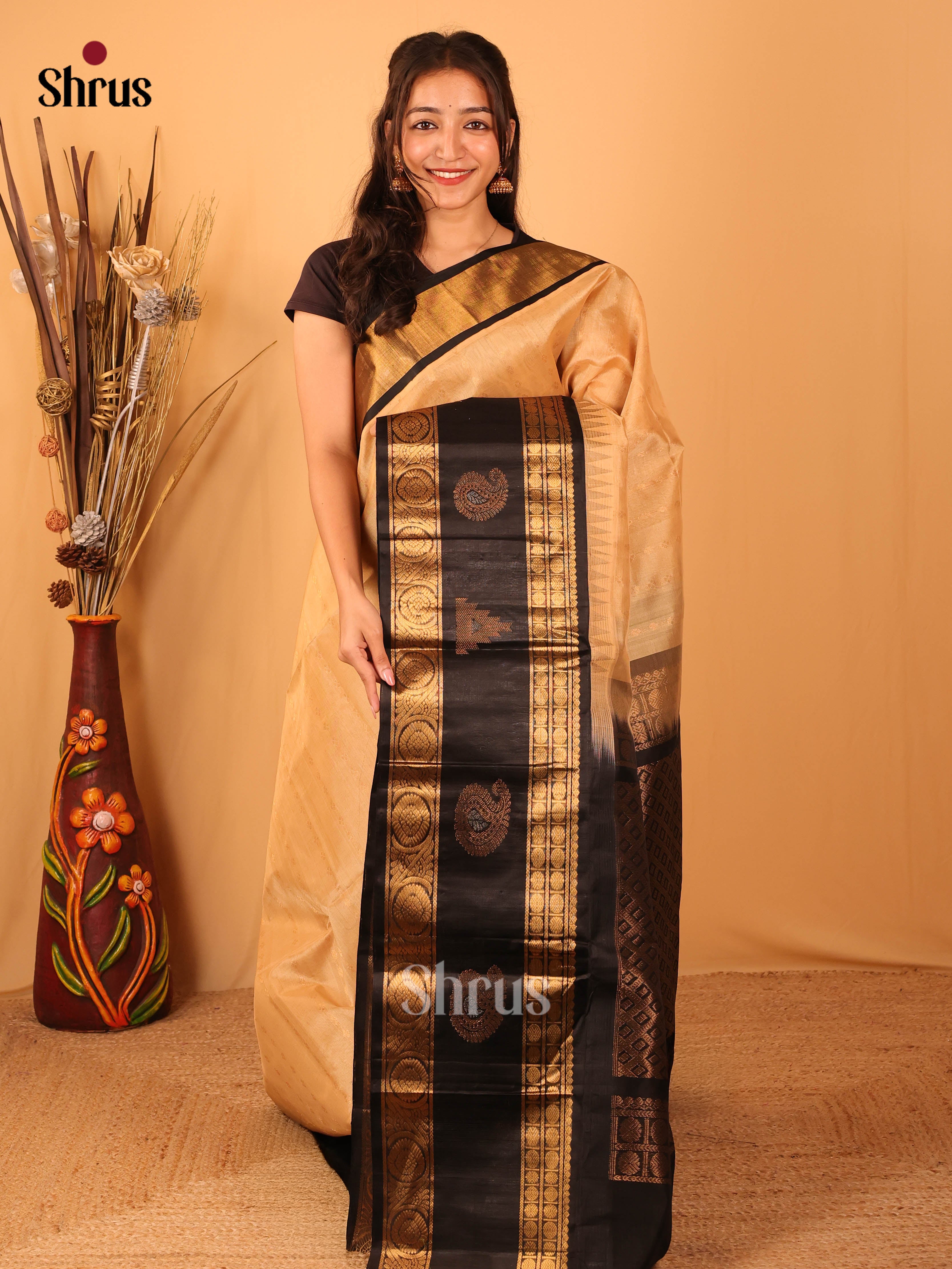 Beige & Brown- Silk Cotton Saree - Shop on Shrus.com