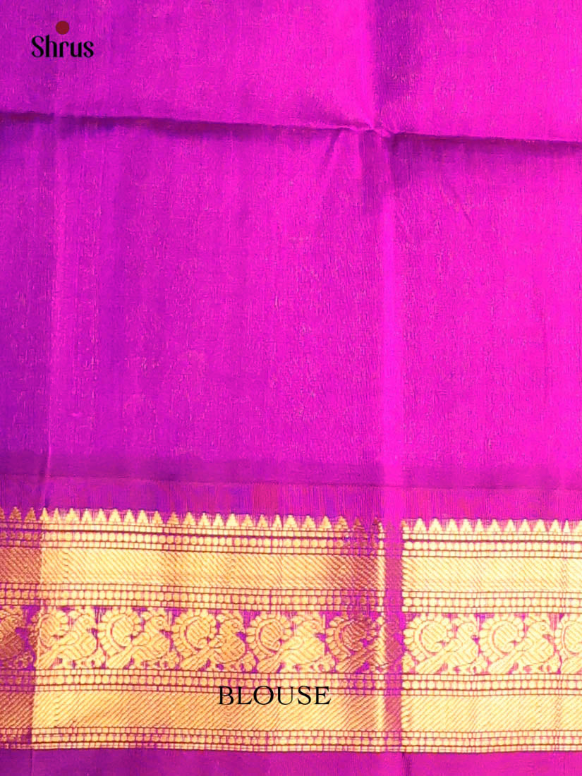 Blue & Majenta - Silk Cotton Saree - Shop on Shrus.com