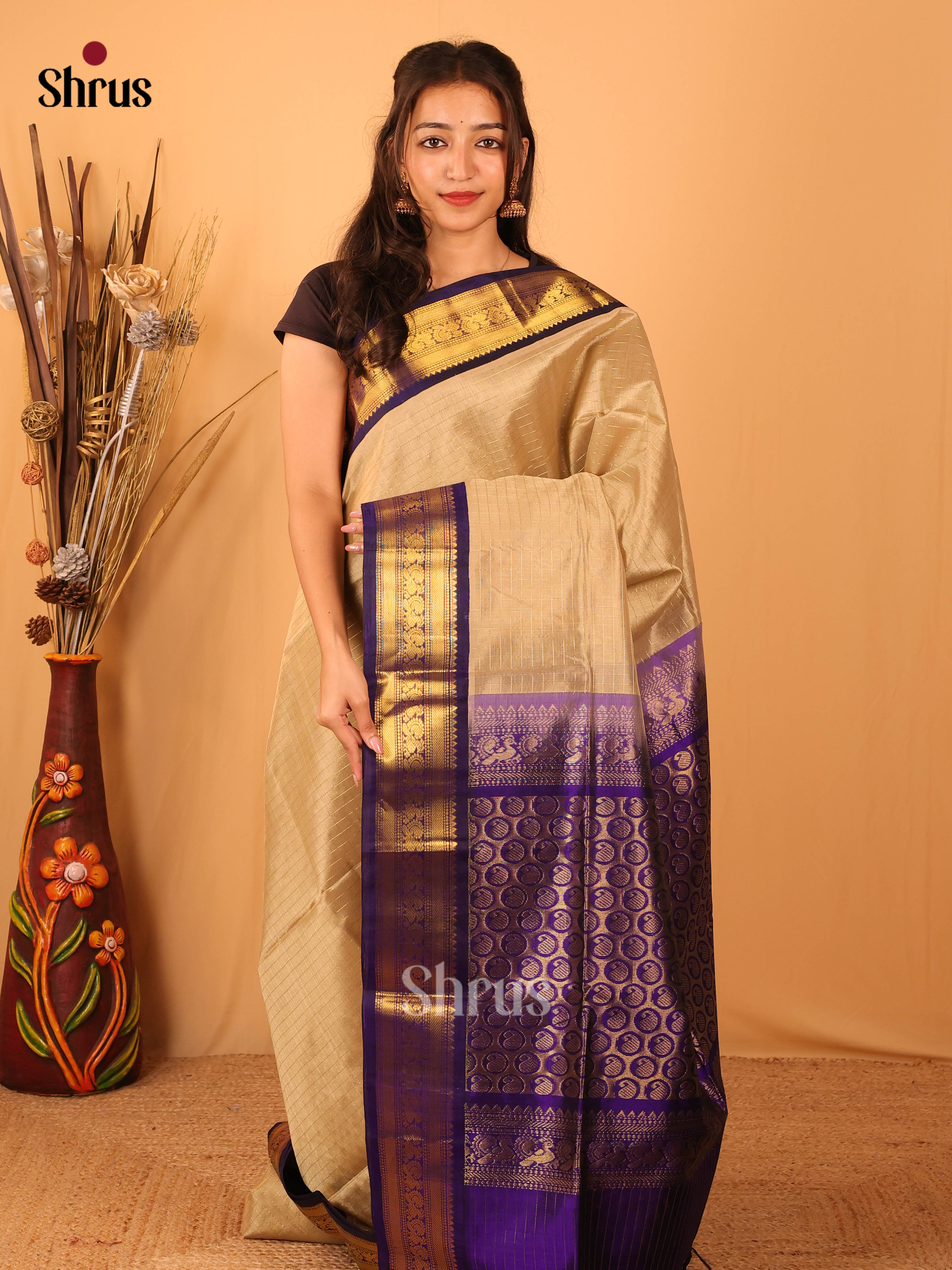 Beige & Blue- Silk Cotton Saree - Shop on Shrus.com