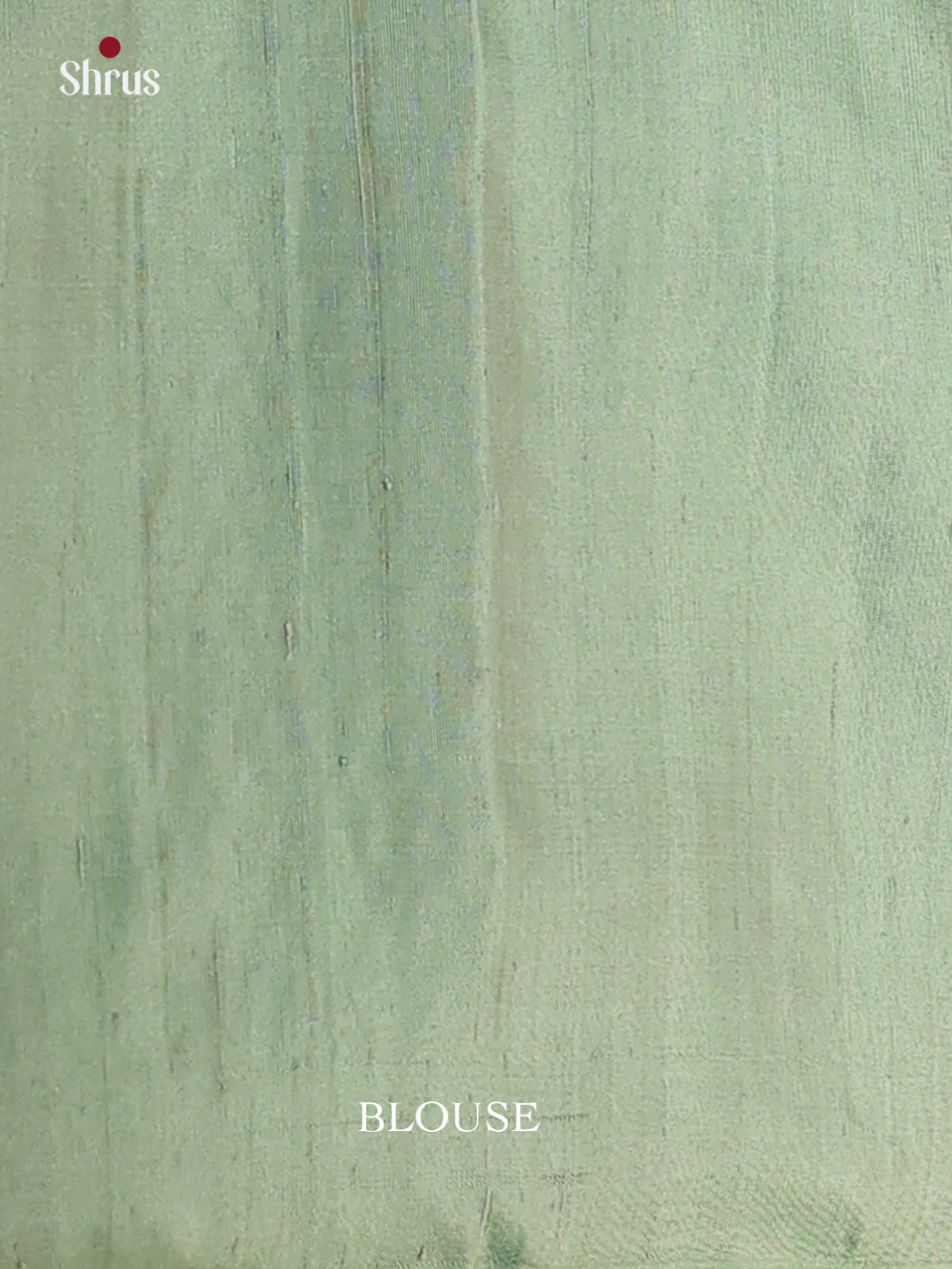 Enchanting Pastel Green Soft Silk Saree With Silver Zari Bird Buttas & Brocade Pallu-2