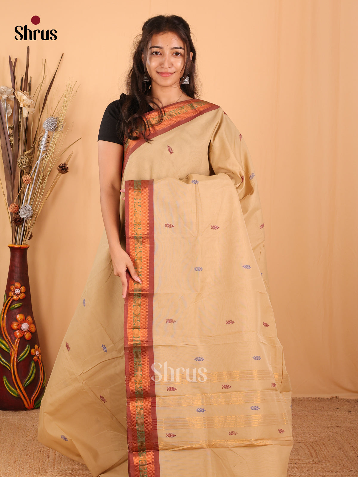 Beige & Brown - Chettinad Mix Cotton Saree - Shop on Shrus.com