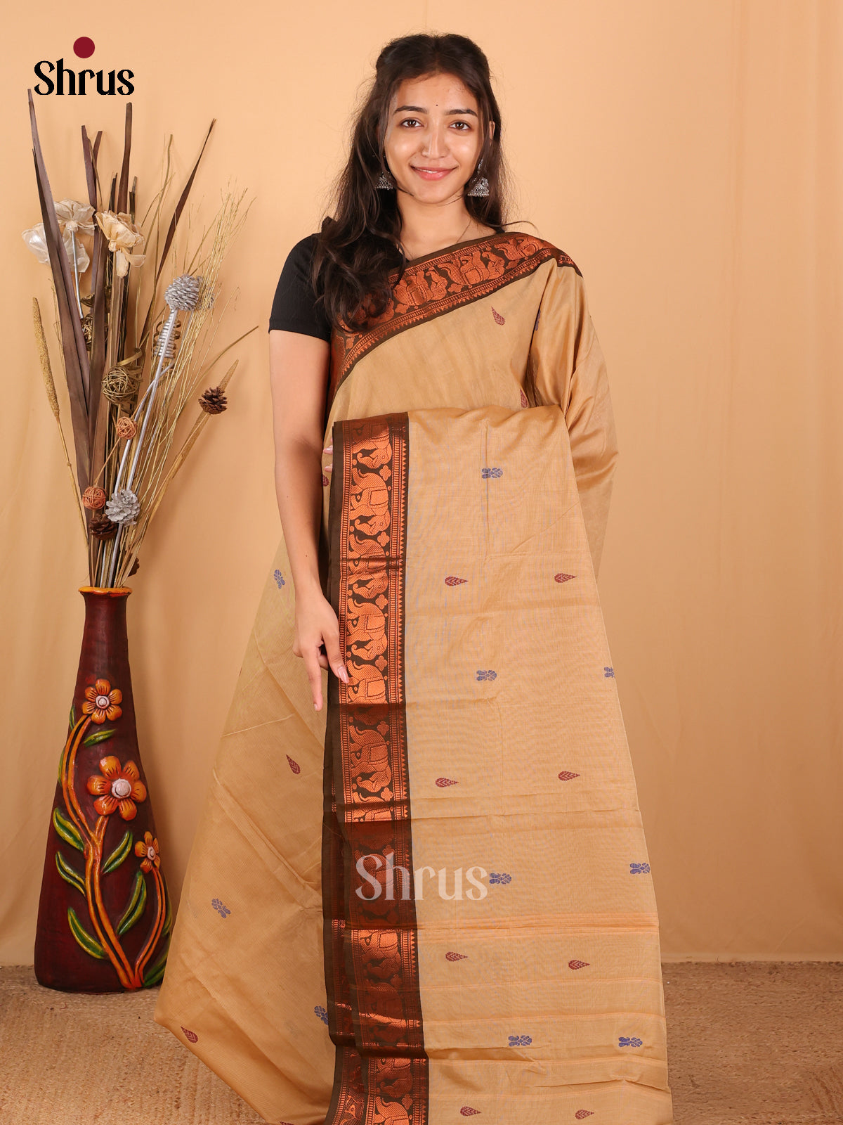 Beige & Brown - Chettinad Mix Cotton Saree - Shop on Shrus.com
