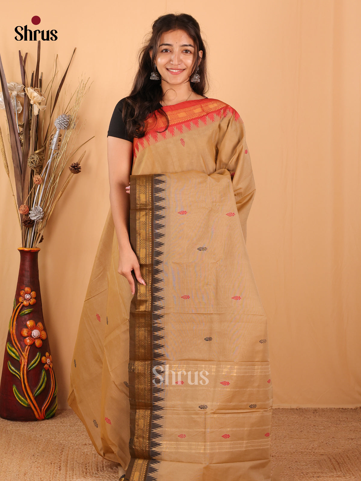 Beige & Brown - Chettinad Mix Cotton Saree - Shop on Shrus.com