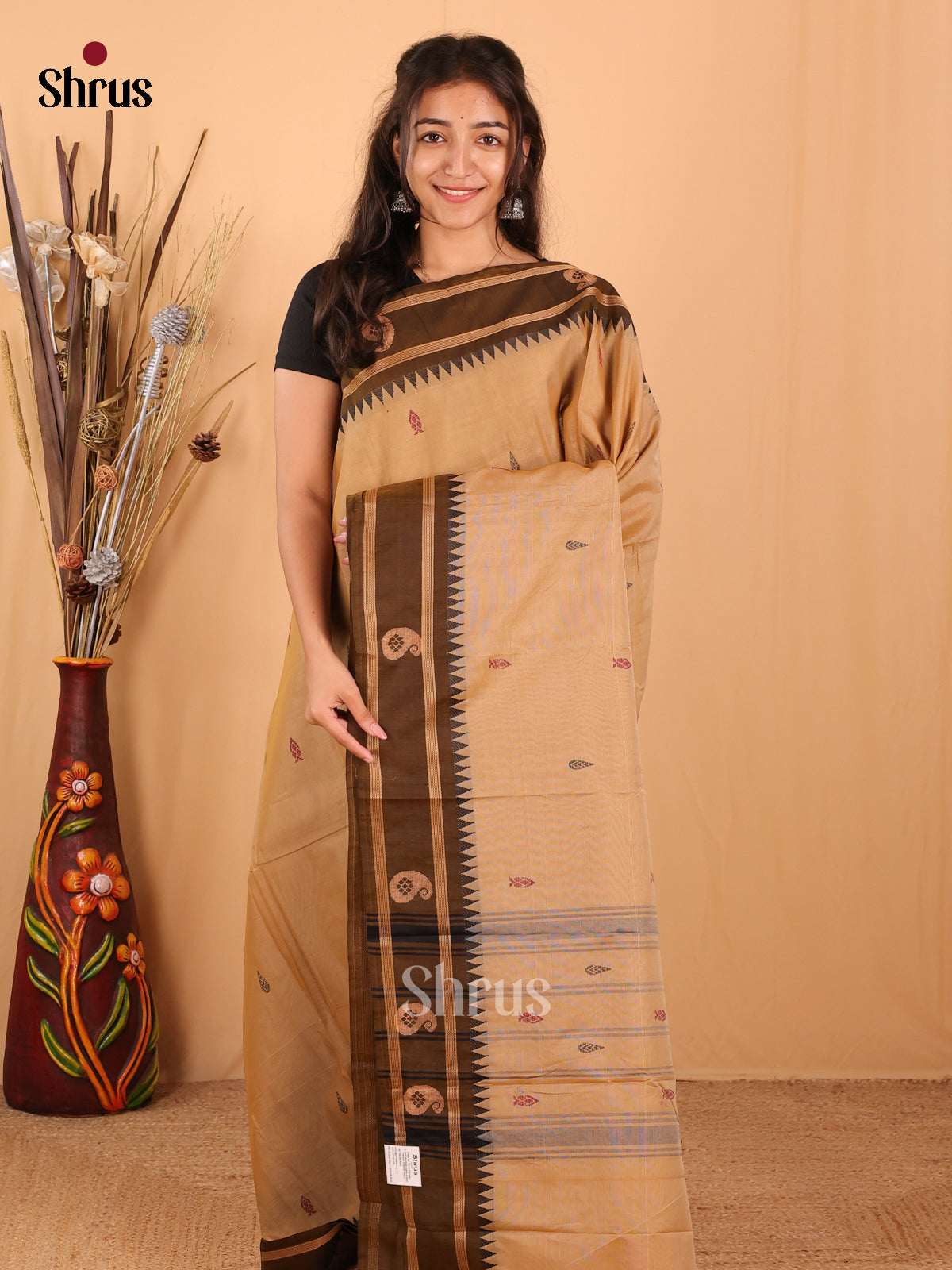 Beige & Brown - Chettinad Mix Cotton Saree - Shop on Shrus.com