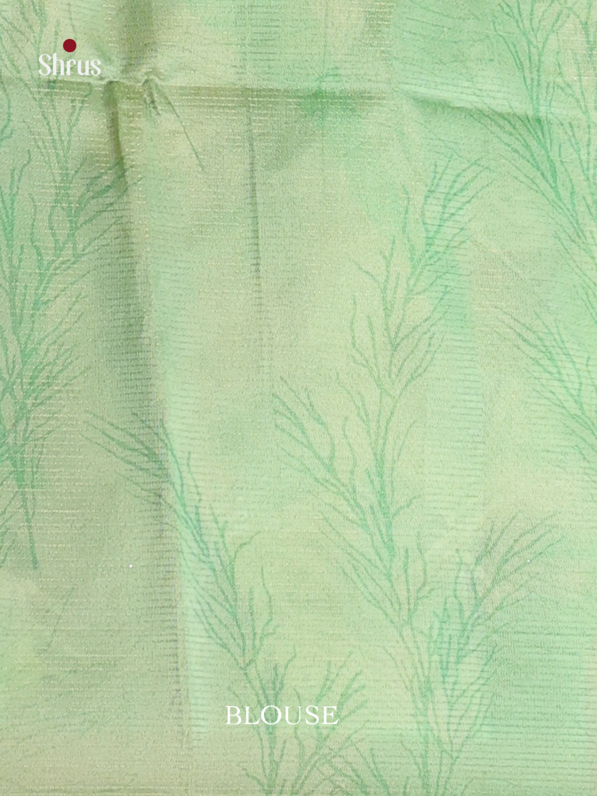 Pastel Green & Brown - Champa semitussar Saree - Shop on Shrus.com