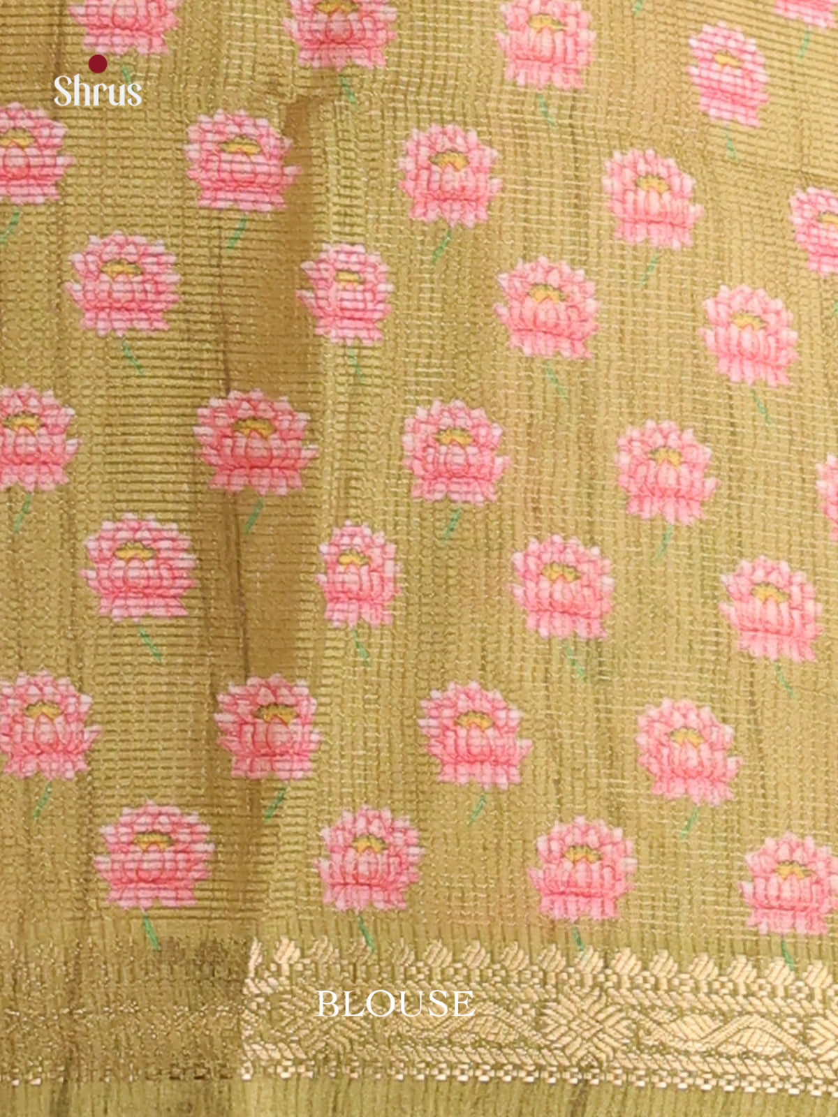 Cream & Green - Champa semitussar Saree - Shop on Shrus.com