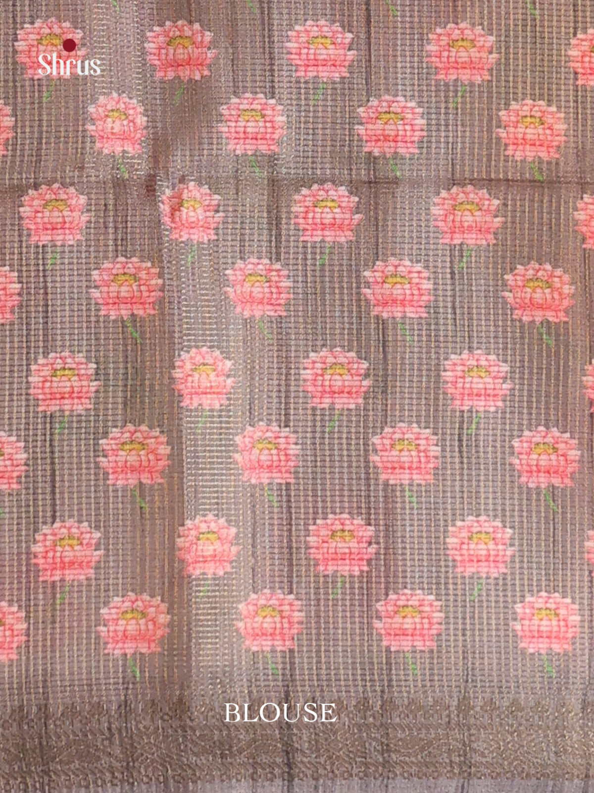 Cream & Grey - Champa semitussar Saree - Shop on Shrus.com