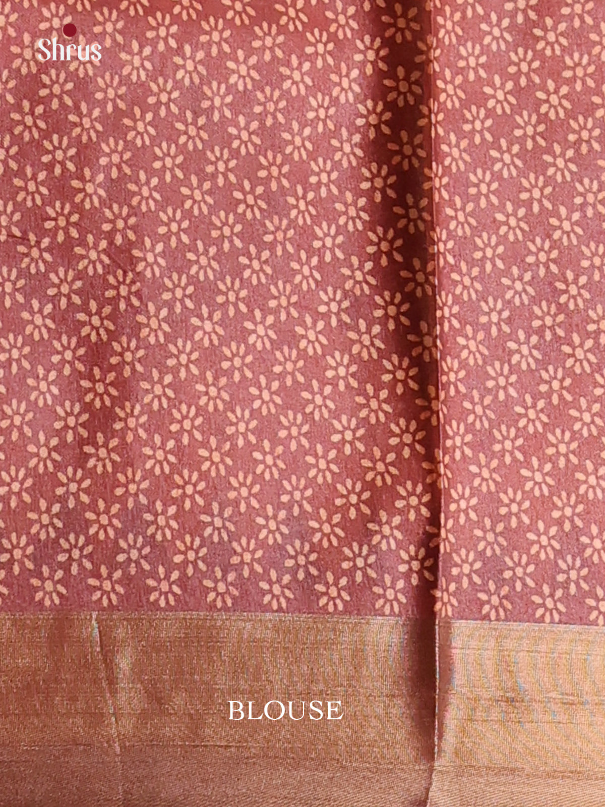 Cream & Brown - Printed Tussar Saree - Shop on Shrus.com