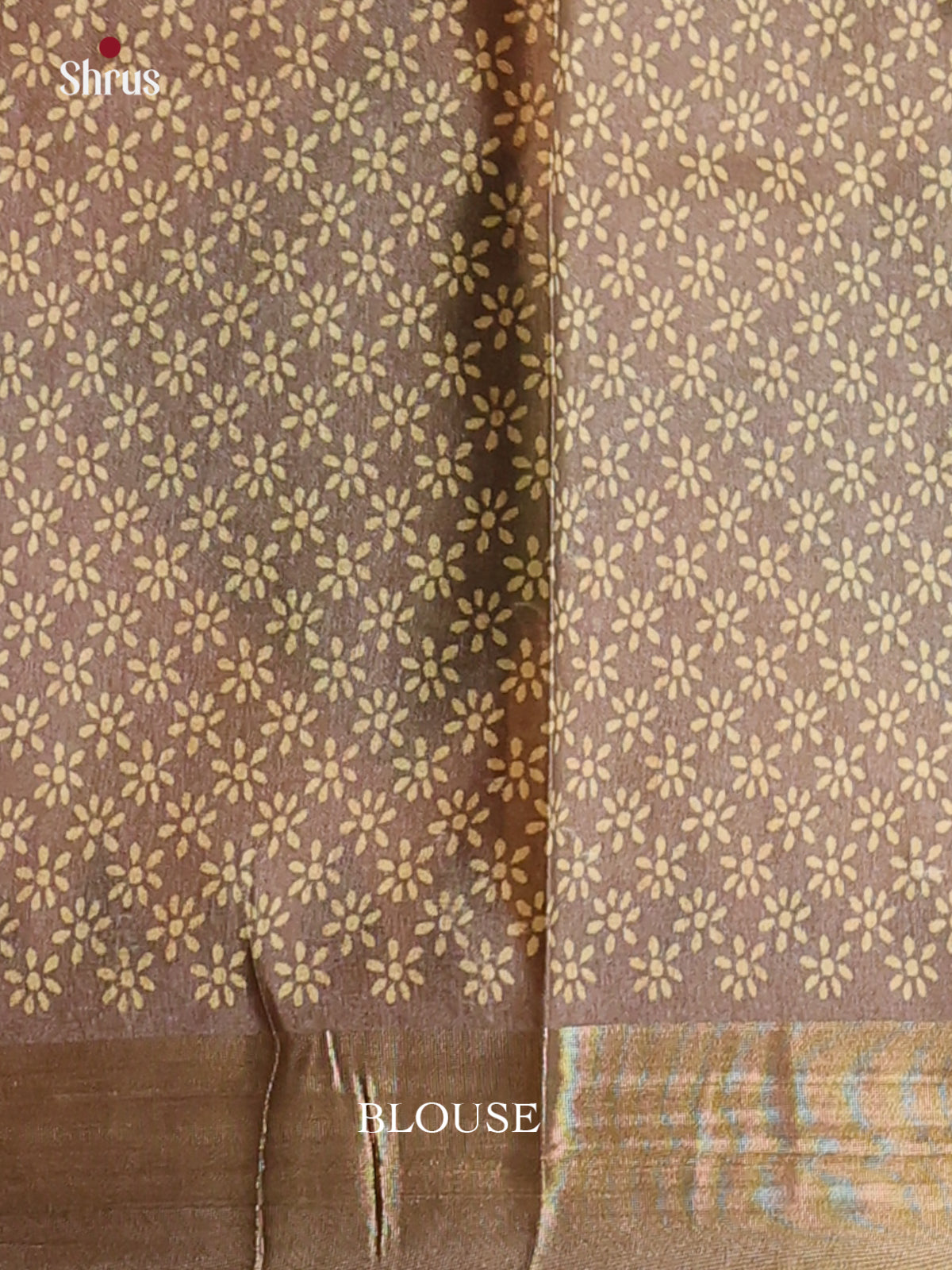 Cream & Grey - Printed Tussar Saree - Shop on Shrus.com