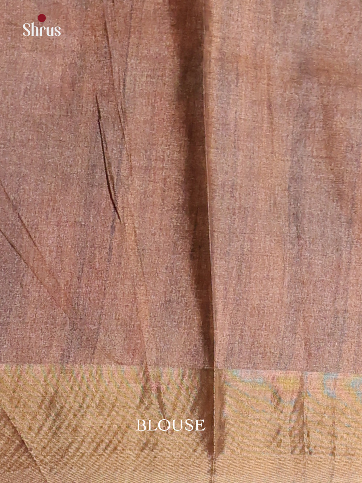 Cream & Brown - Printed Tussar Saree - Shop on Shrus.com