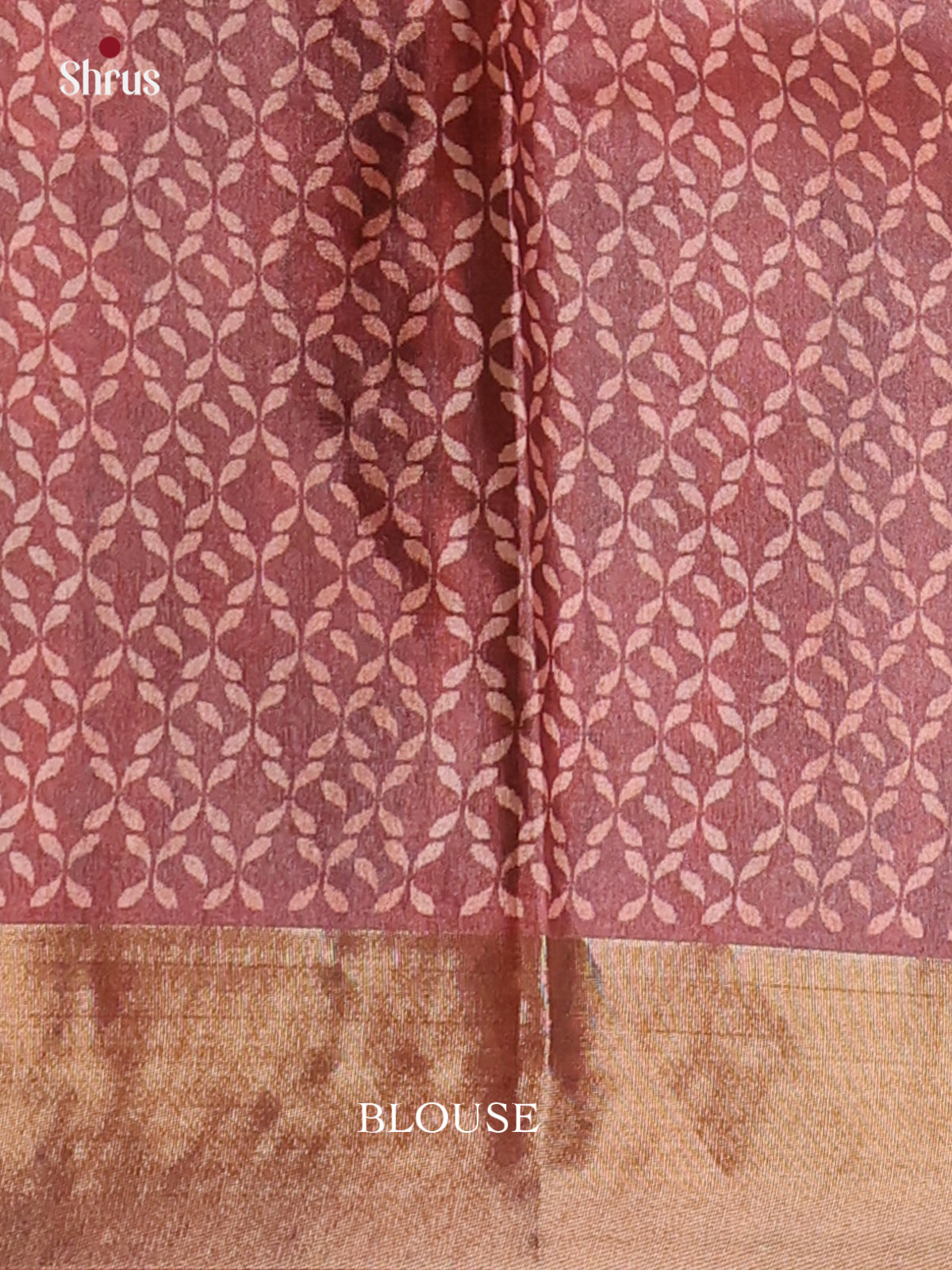 Cream & Brown - Printed Tussar Saree - Shop on Shrus.com