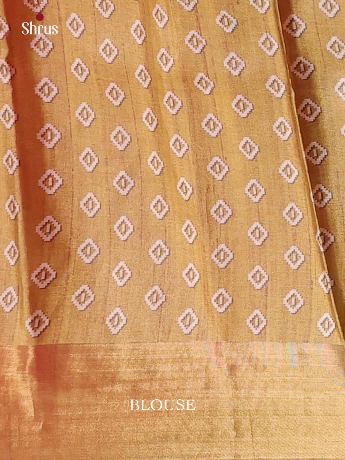 Pista Green & Goldish Brown - Printed Tussar Saree - Shop on Shrus.com