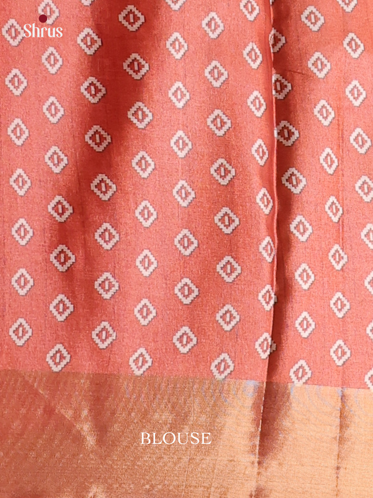 Pastel Green & Brick - Printed Tussar Saree - Shop on Shrus.com