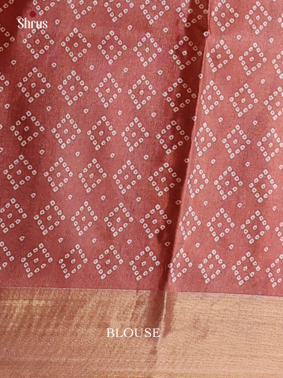 Brown - Printed Tussar Saree - Shop on Shrus.com