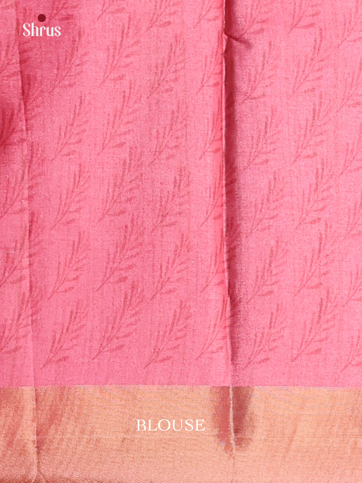 Cream , Blue & Pink - Printed Tussar Saree - Shop on Shrus.com