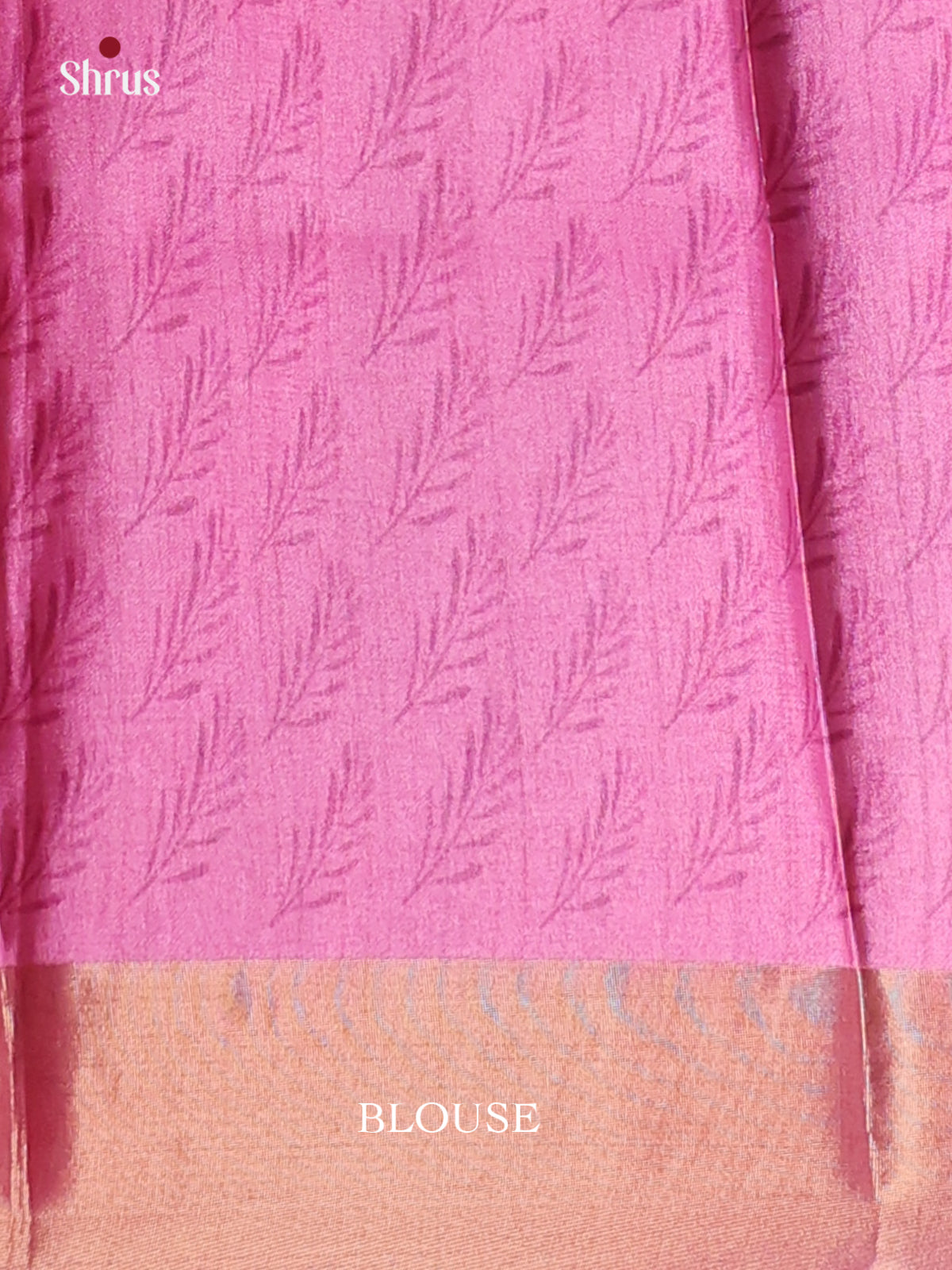 Cream , Blue & Pink - Printed Tussar Saree - Shop on Shrus.com