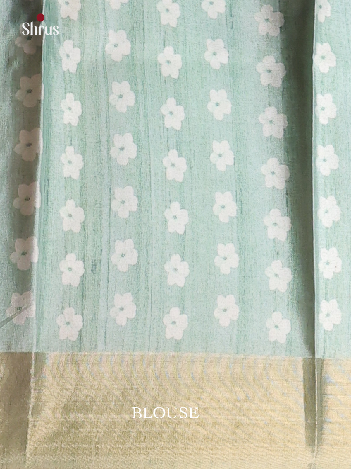 Black & Pastel Green - Printed Tussar Saree - Shop on Shrus.com