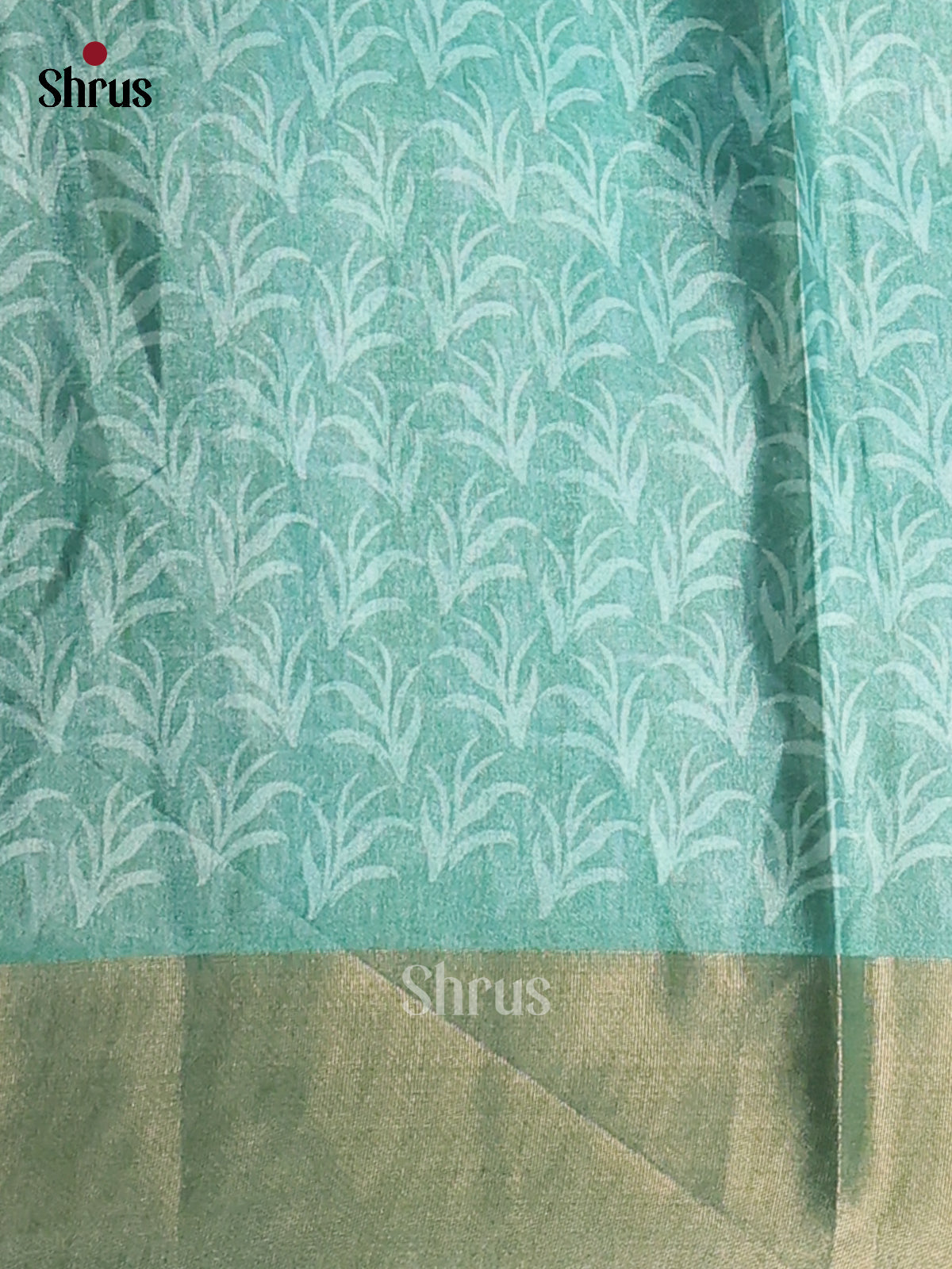 Cream & Sky Blue - Printed Tussar saree - DCS04439 - Shop on Shrus.com