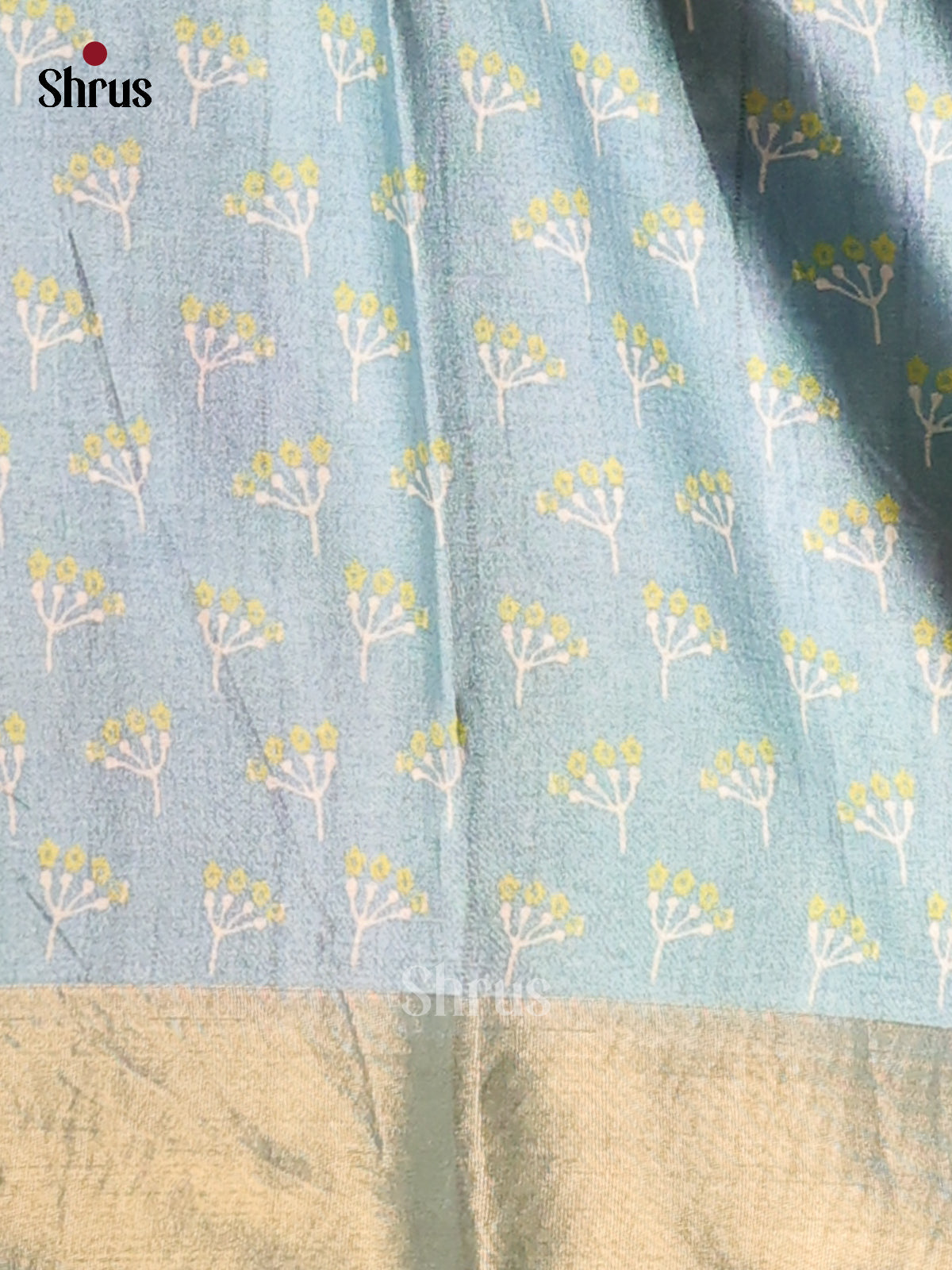 Coffee brown & Sky Blue - Printed Tussar saree - DCS04444 - Shop on Shrus.com