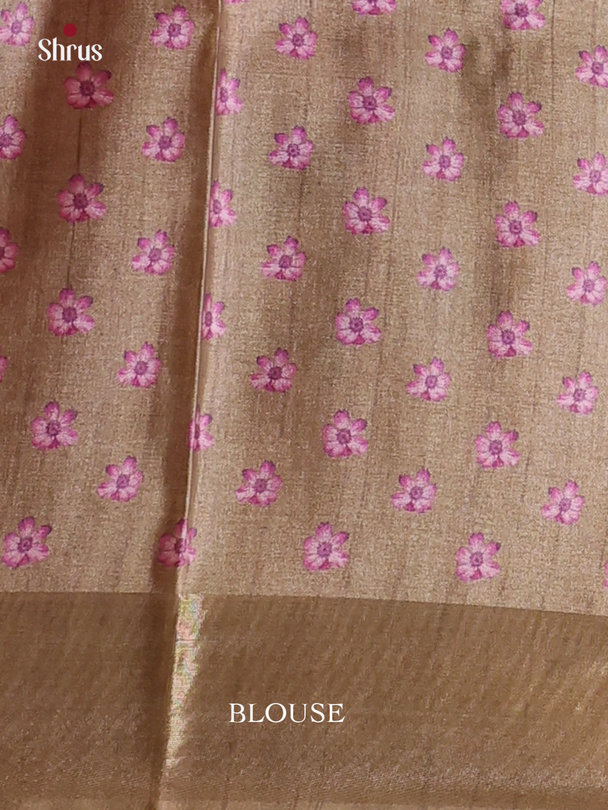 Grey & Brown - Printed Tussar Saree - Shop on Shrus.com