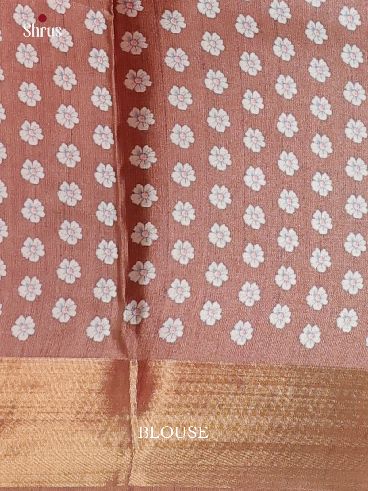 Brown - Printed Tussar Saree - Shop on Shrus.com