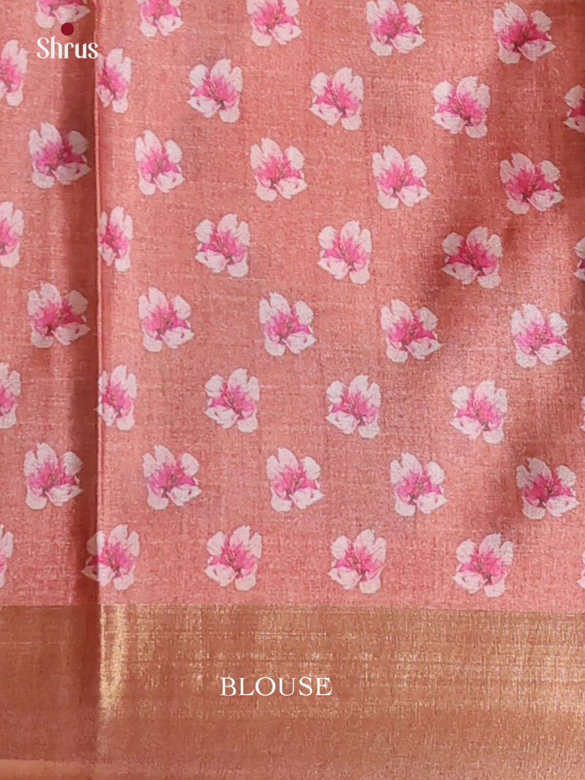 Blue & Brown - Printed Tussar Saree - Shop on Shrus.com