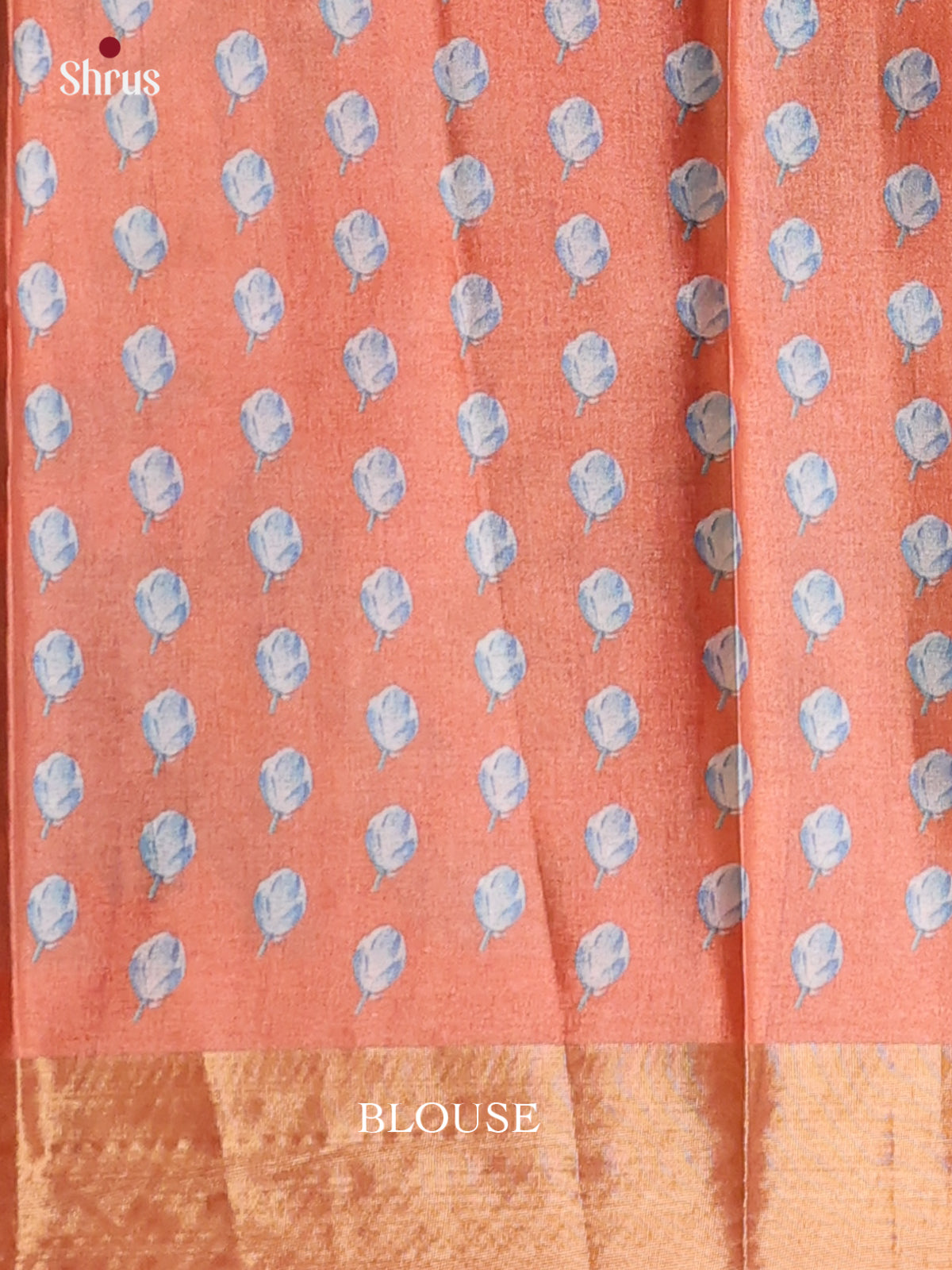 Brown - Printed Tussar Saree - Shop on Shrus.com