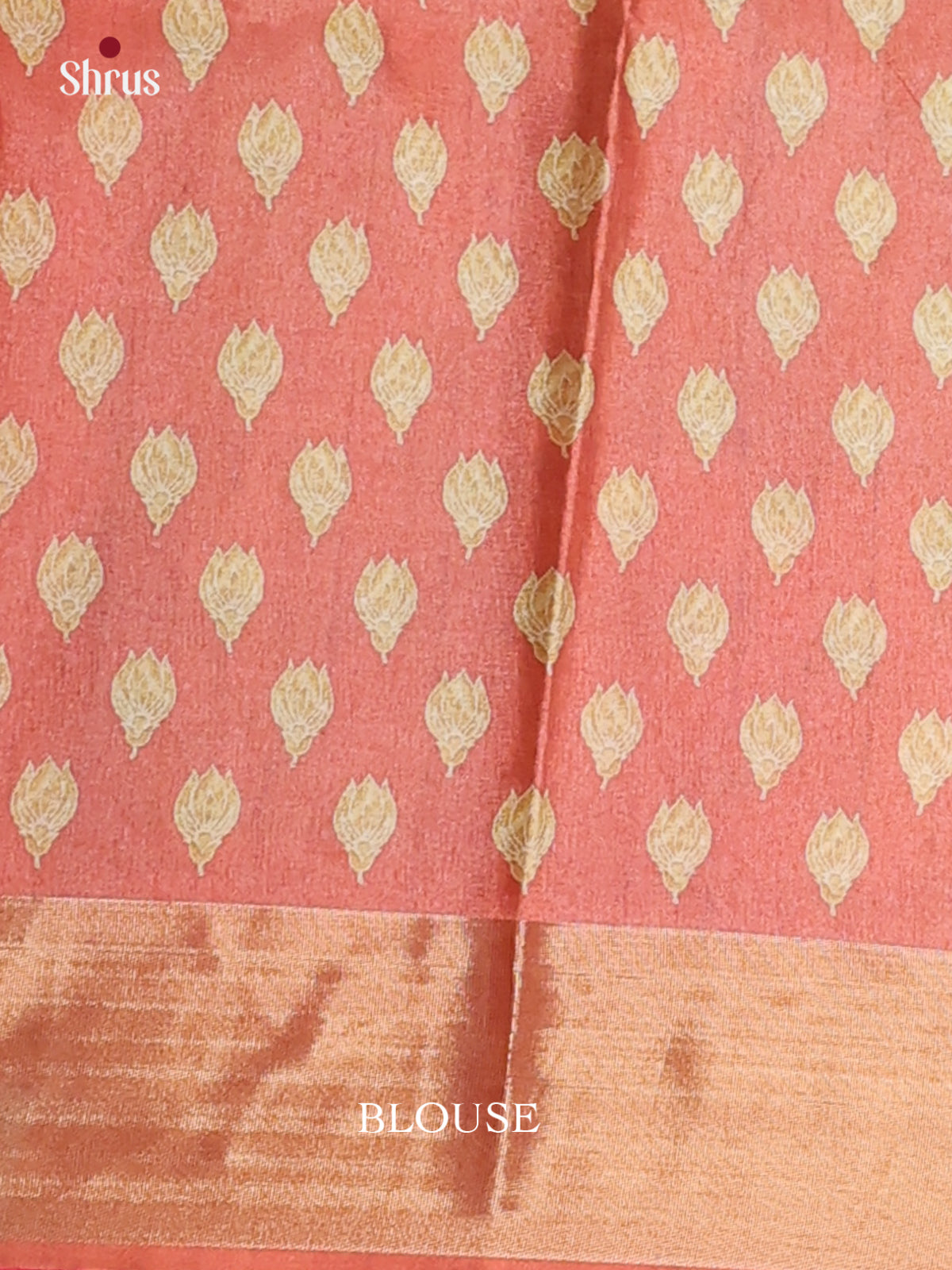 Dark Mustard & Brown - Printed Tussar Saree - Shop on Shrus.com