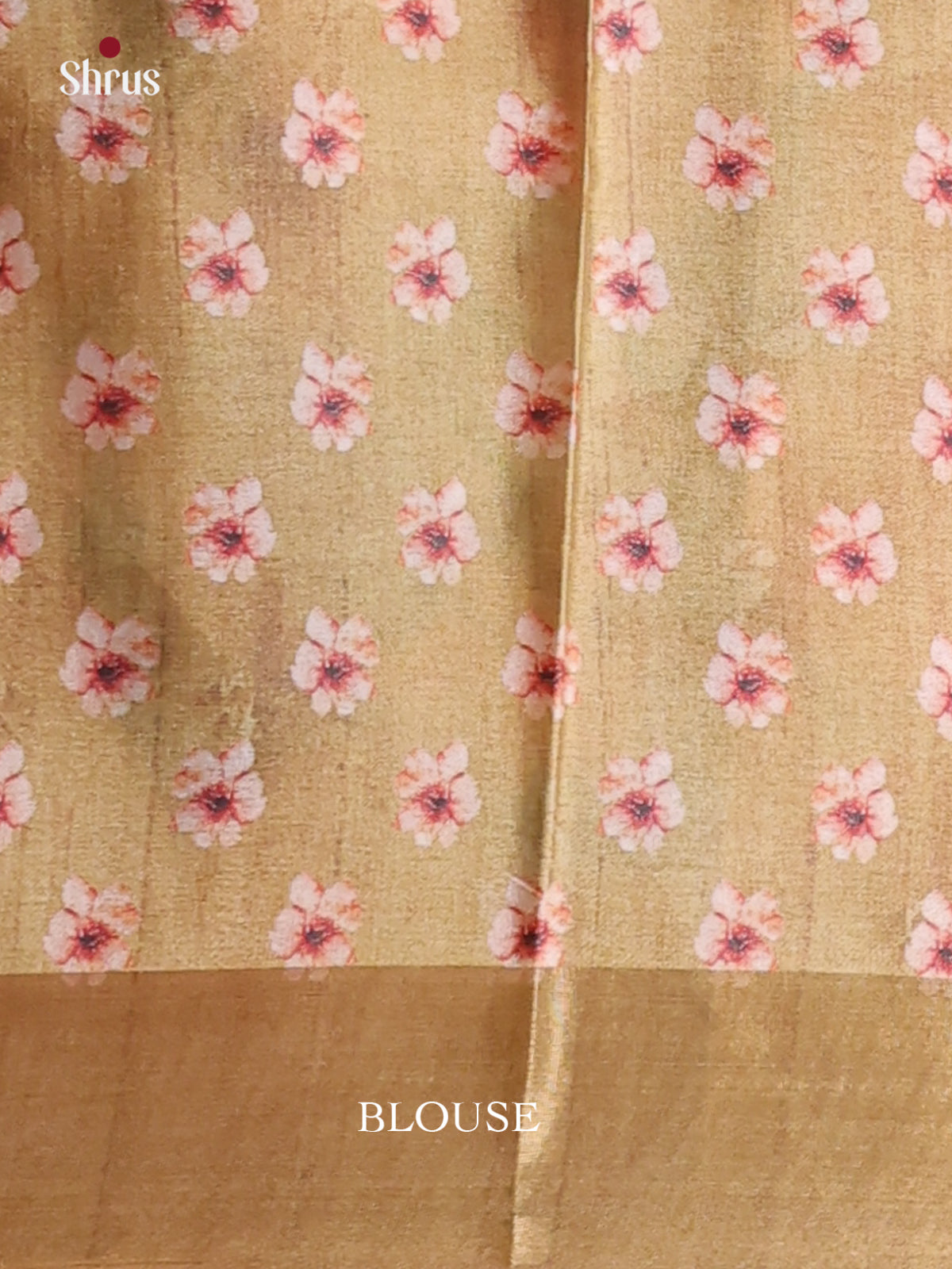 Grey & Green - Printed Tussar Saree - Shop on Shrus.com