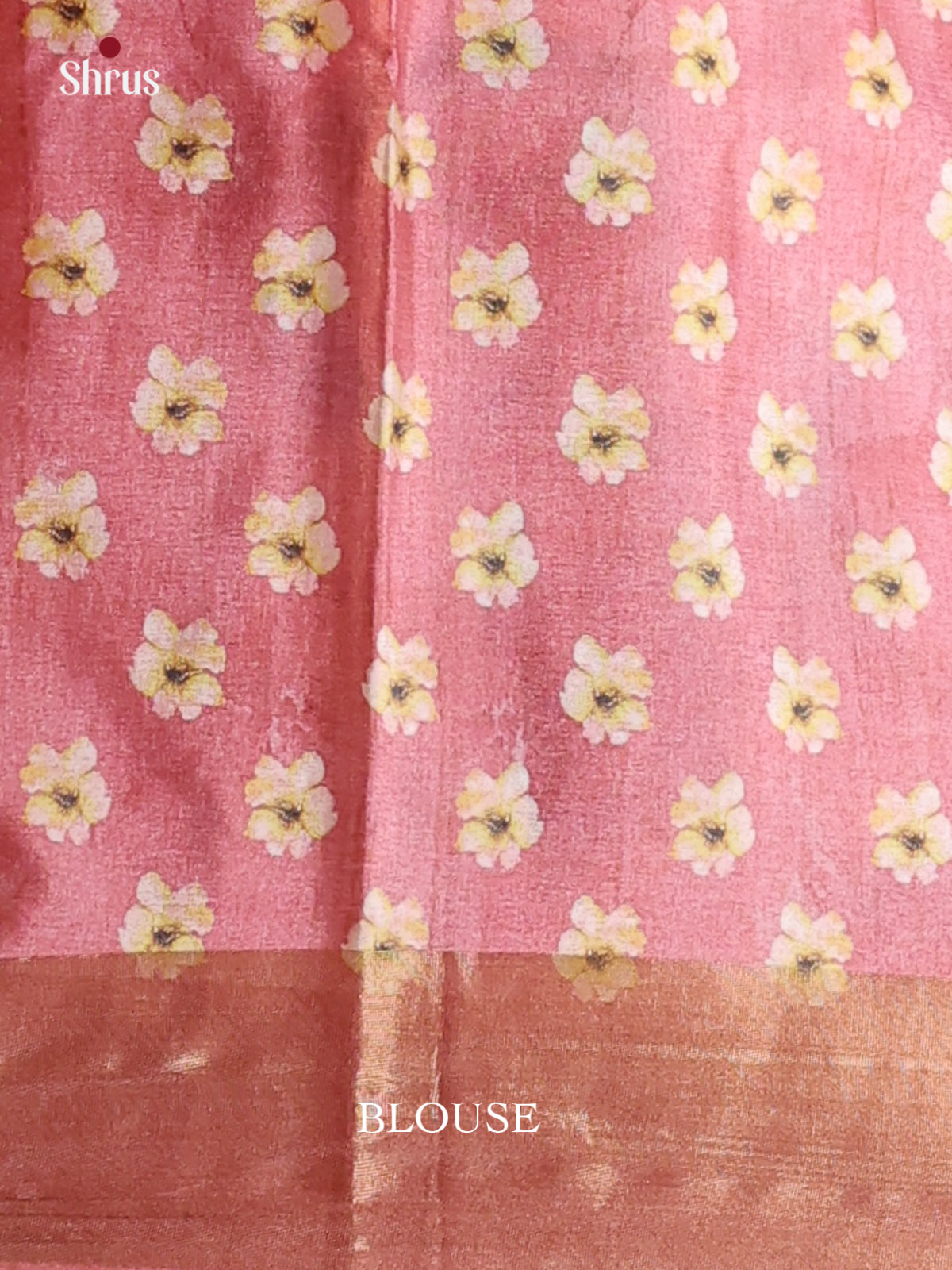Lite Brown & Brown - Printed Tussar Saree - Shop on Shrus.com