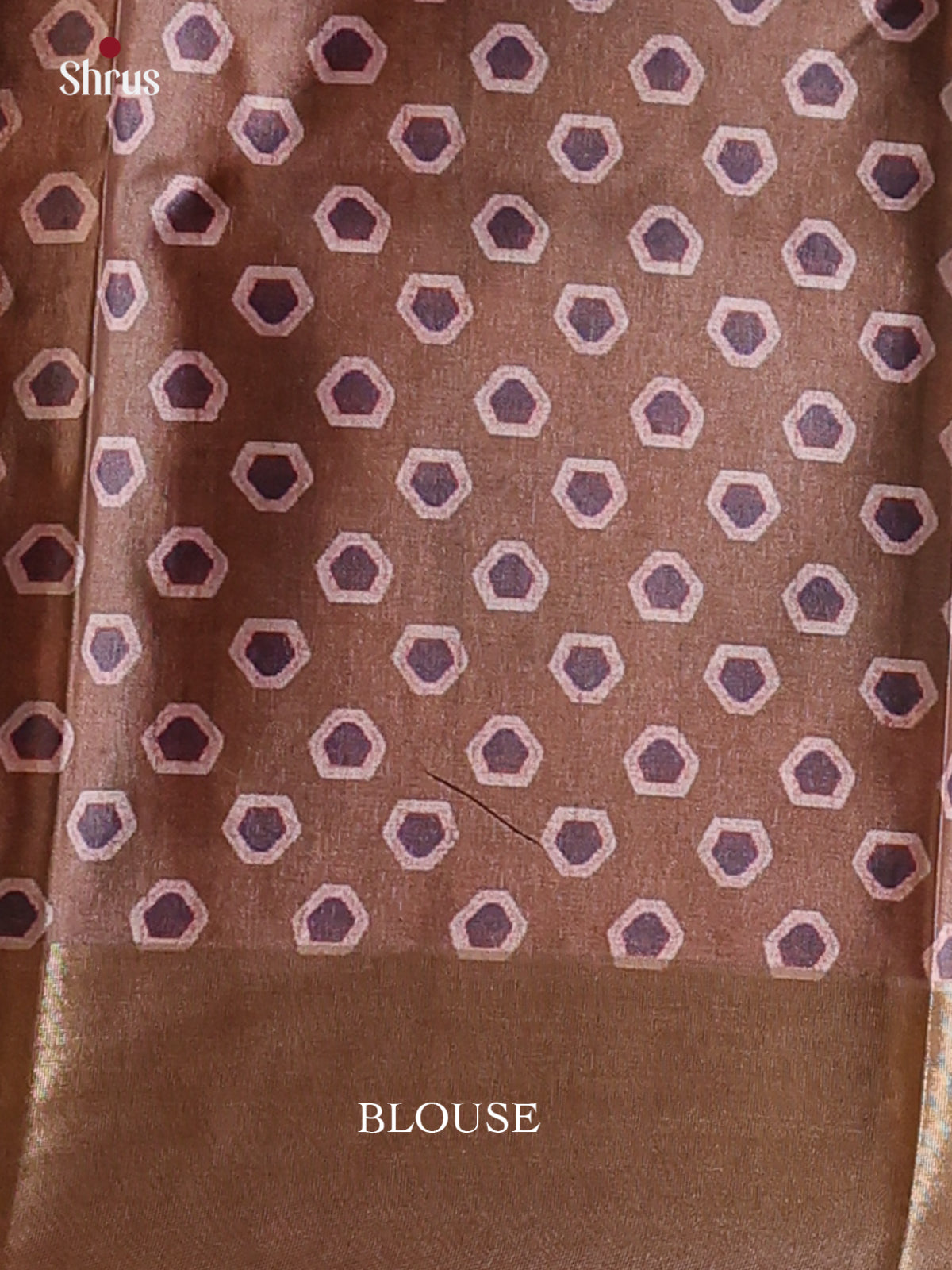 Blue & Brown - Printed Tussar Saree - Shop on Shrus.com
