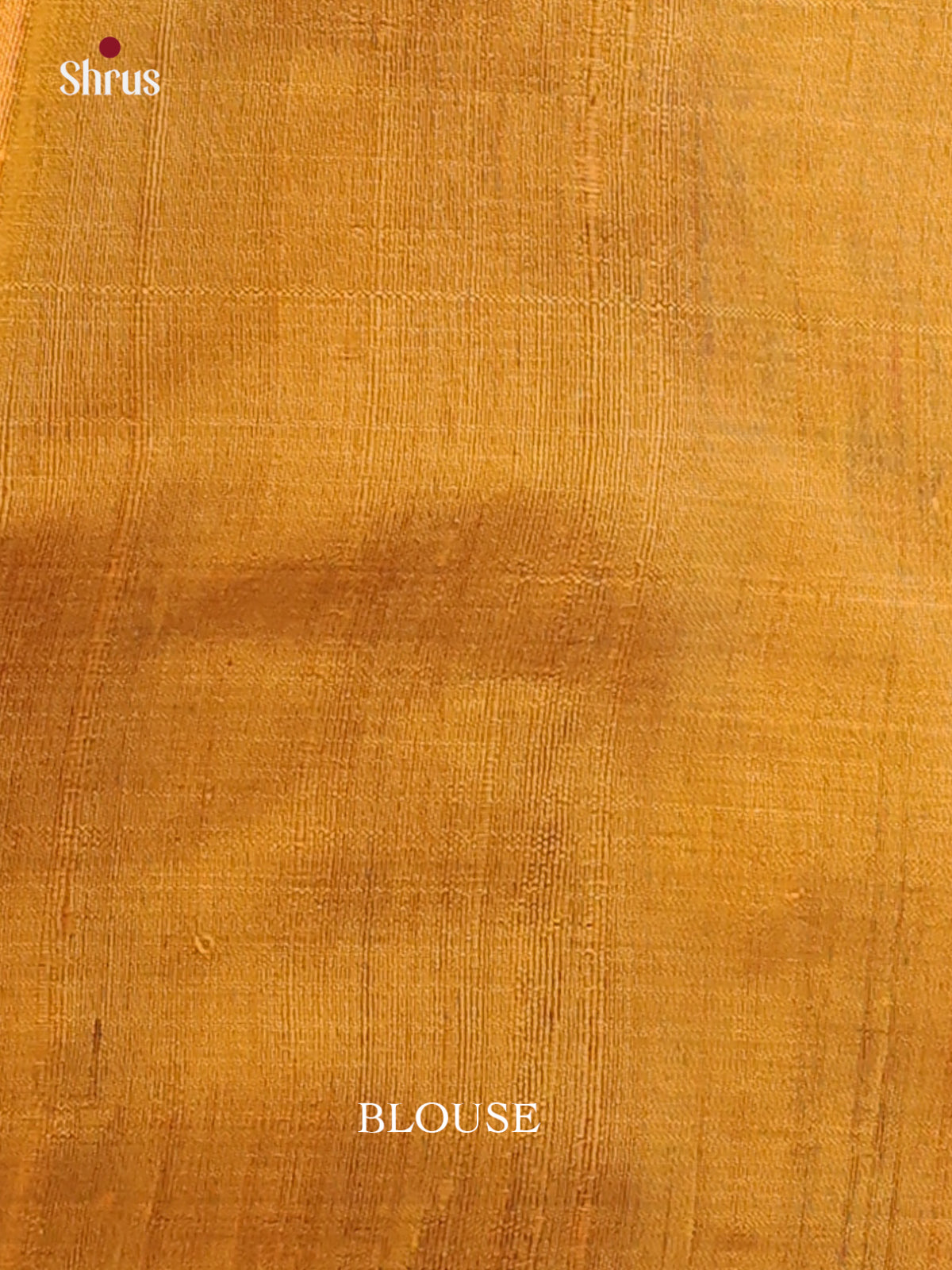 Wine & Gold- Raw Silk Saree - Shop on Shrus.com