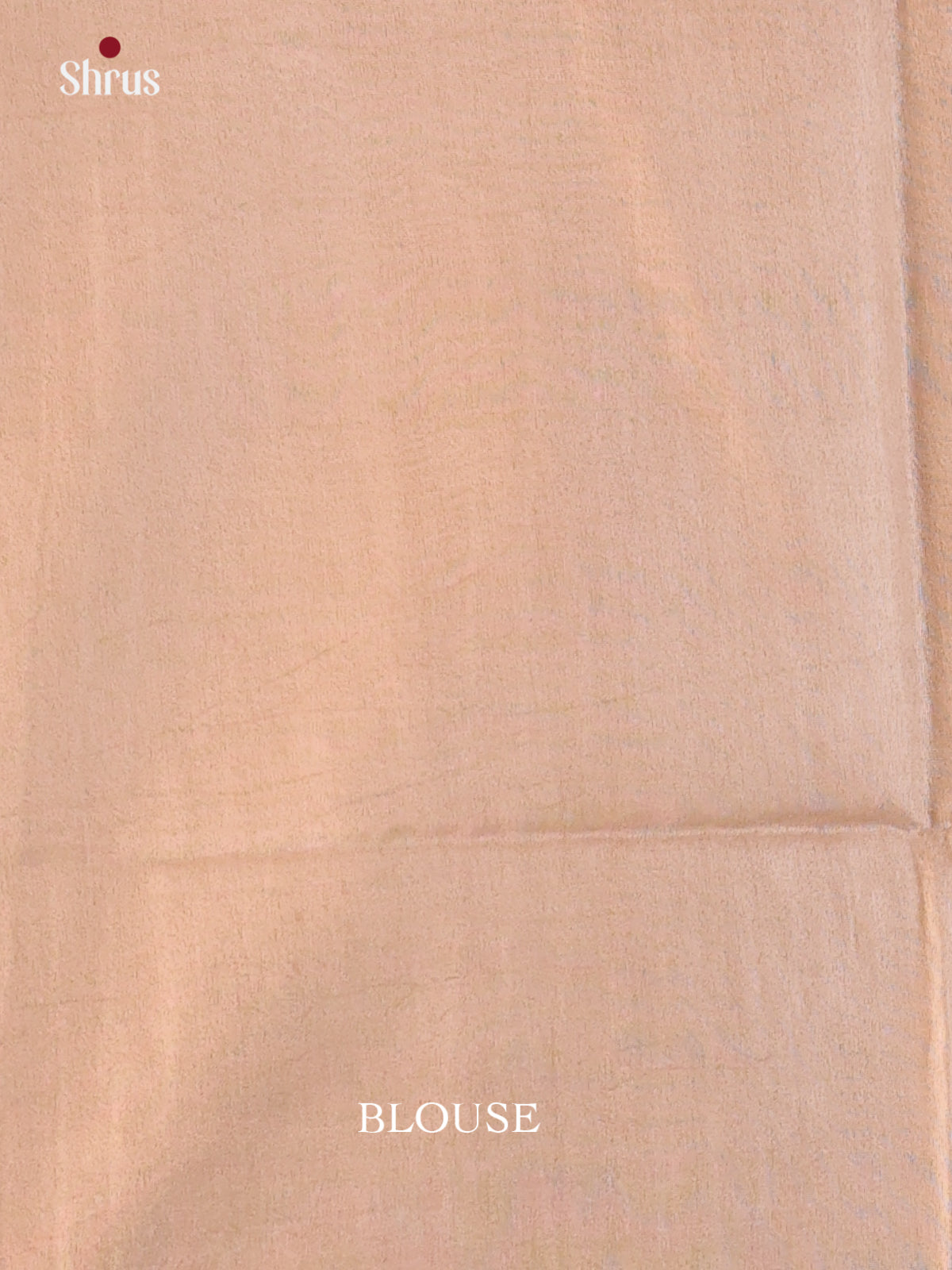 Brown & Cream - Semi Tussar Saree - Shop on Shrus.com