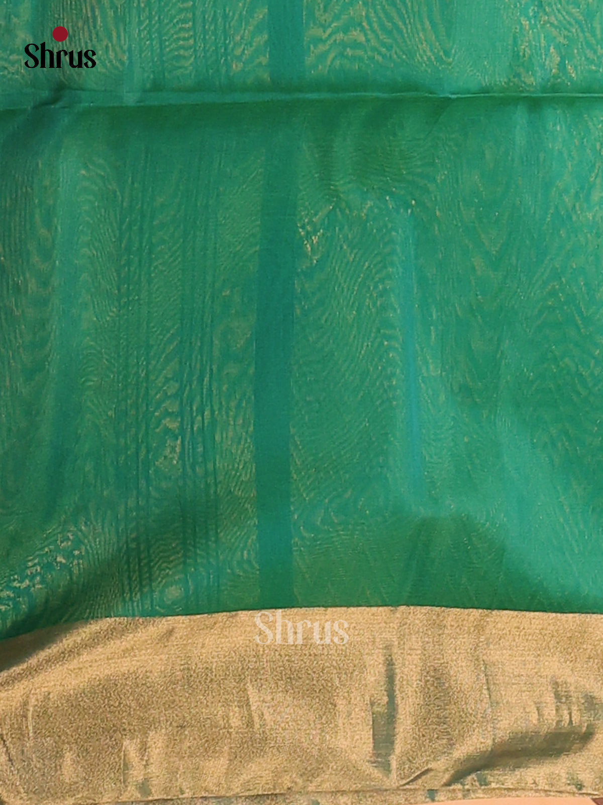 DCS07246 - Silk Cotton Saree - Shop on Shrus.com