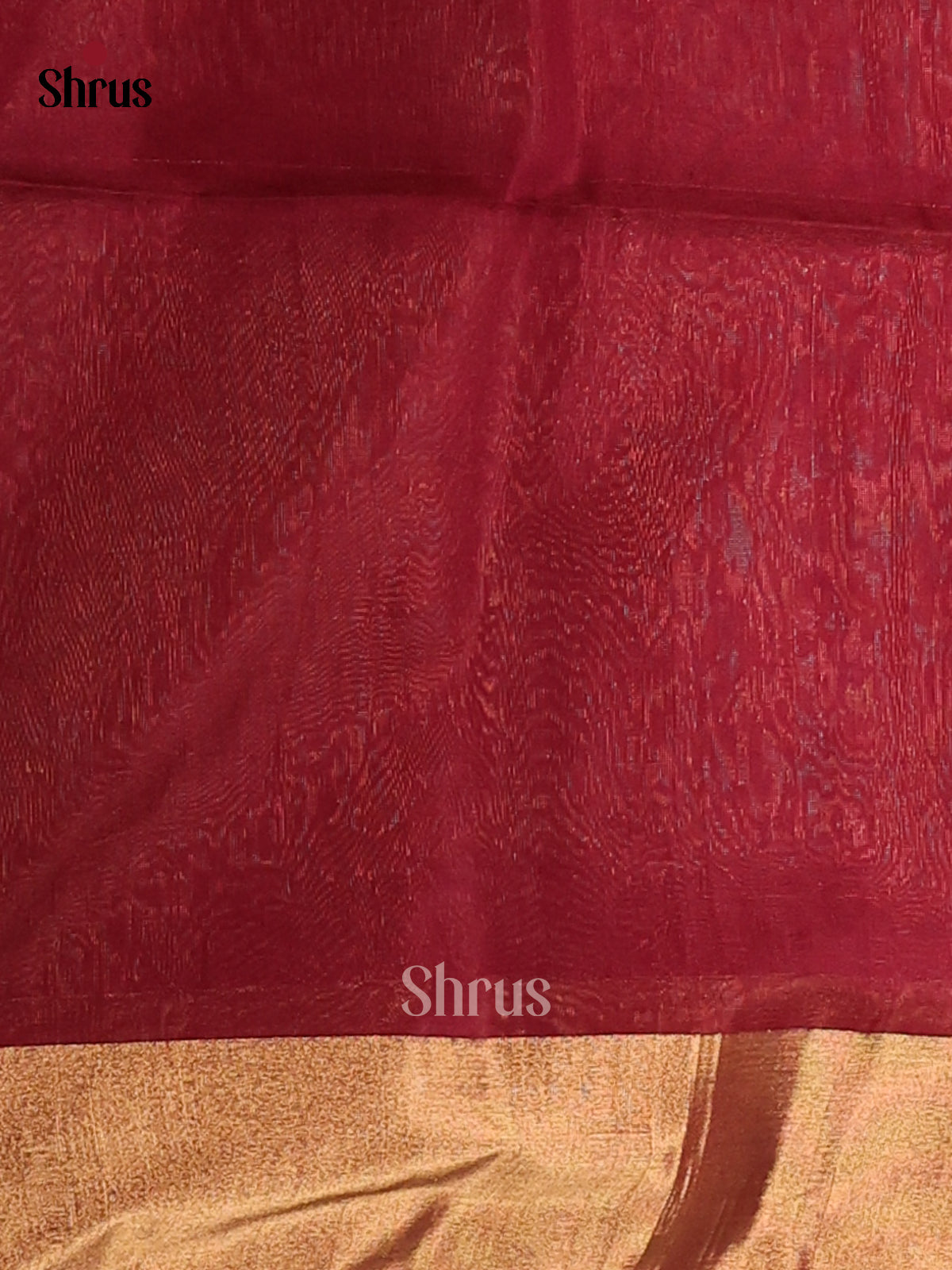 DCS07247 - Silk Cotton Saree - Shop on Shrus.com