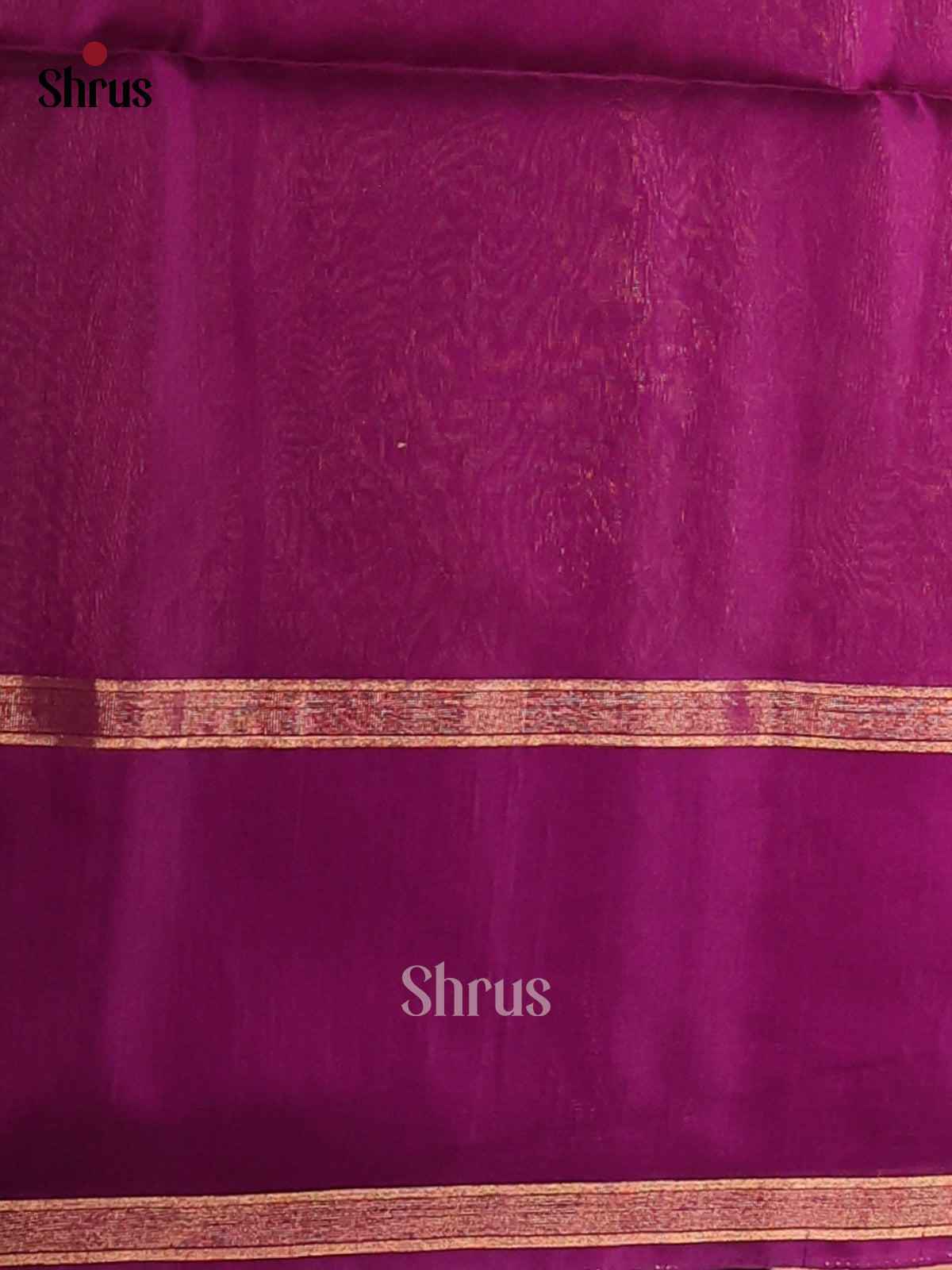 DCS07250 - Silk Cotton Saree - Shop on Shrus.com