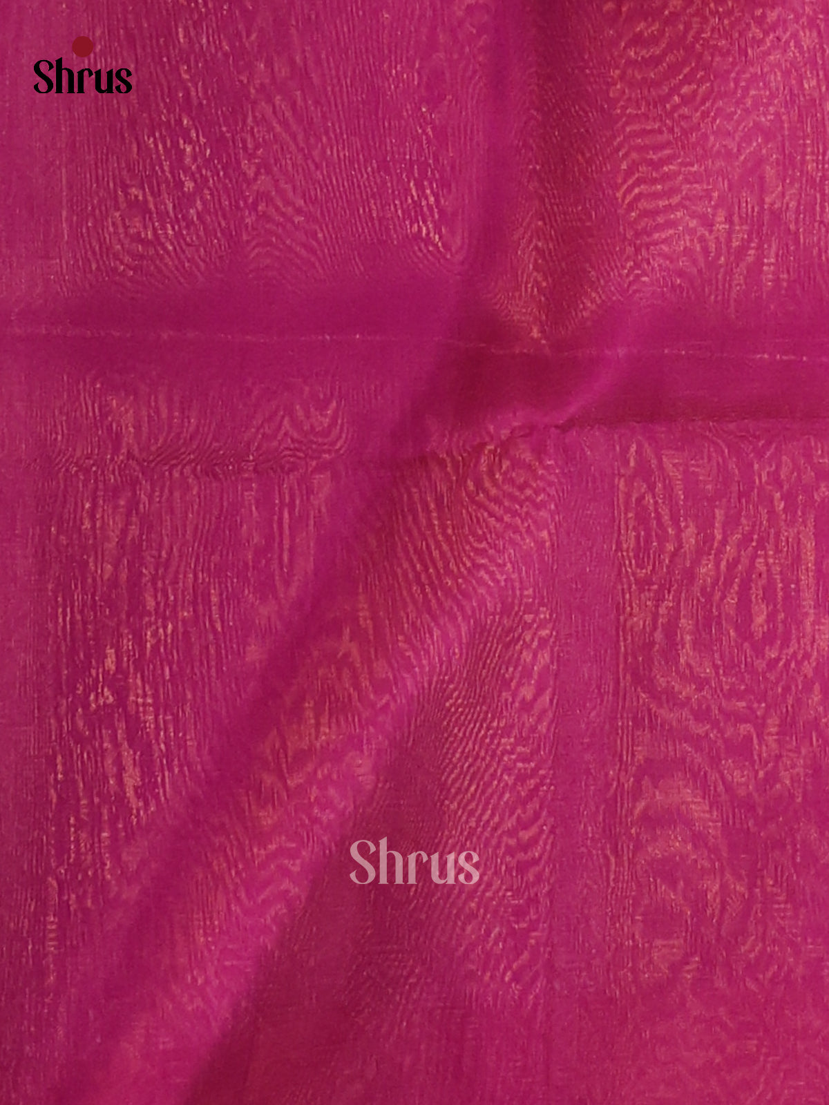 DCS07252 - Silk Cotton Saree - Shop on Shrus.com