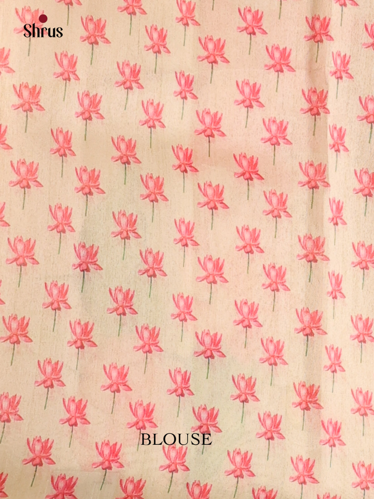 Cream - Semi Tussar Saree - Shop on Shrus.com