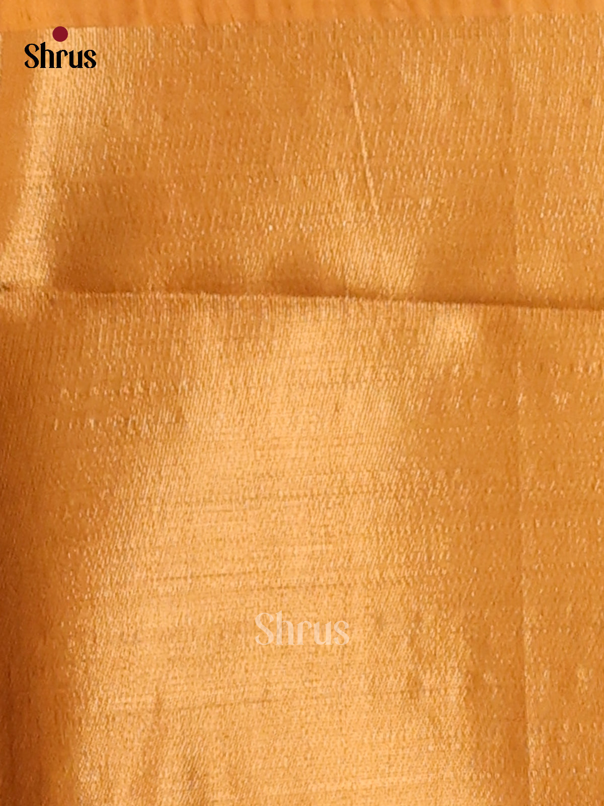 Sandal & Mustard - Champa Semitussa Saree - DCS11012 - Shop on Shrus.com